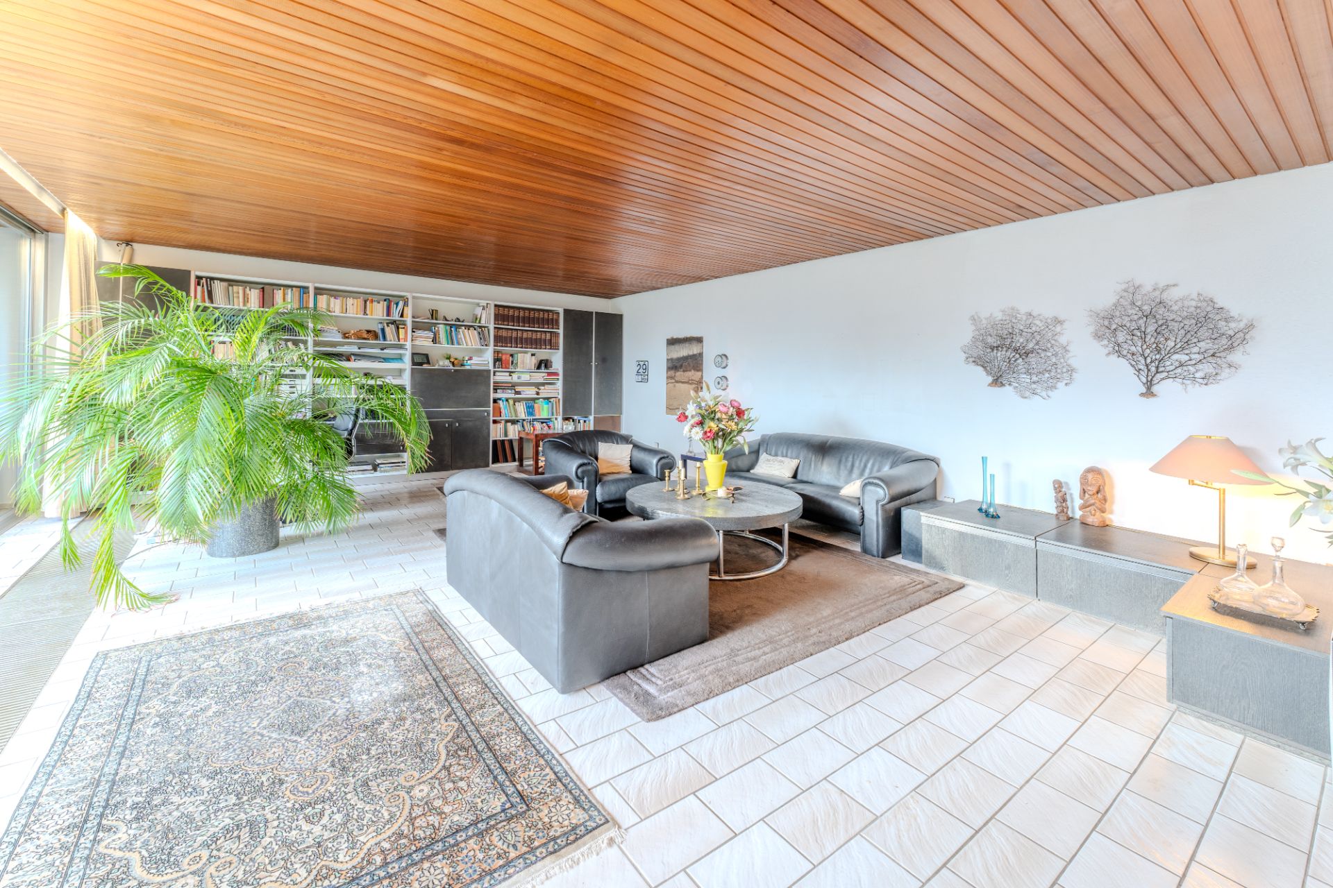 Helles Wohnzimmer mit Ledersofas, großem Teppich, Bücherregal und Zimmerpflanze.