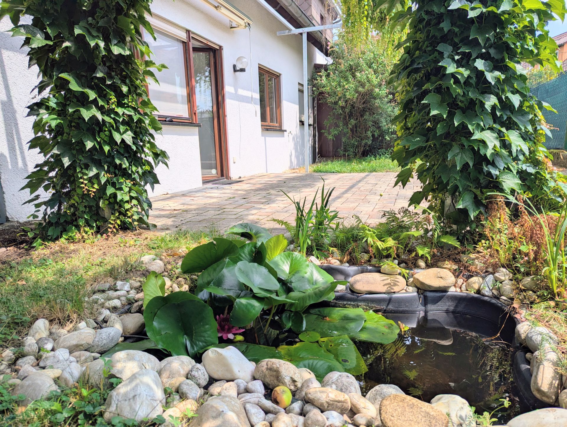 Kleiner Gartenteich mit Seerosen vor einer Terrasse und Haus mit Fenstern.