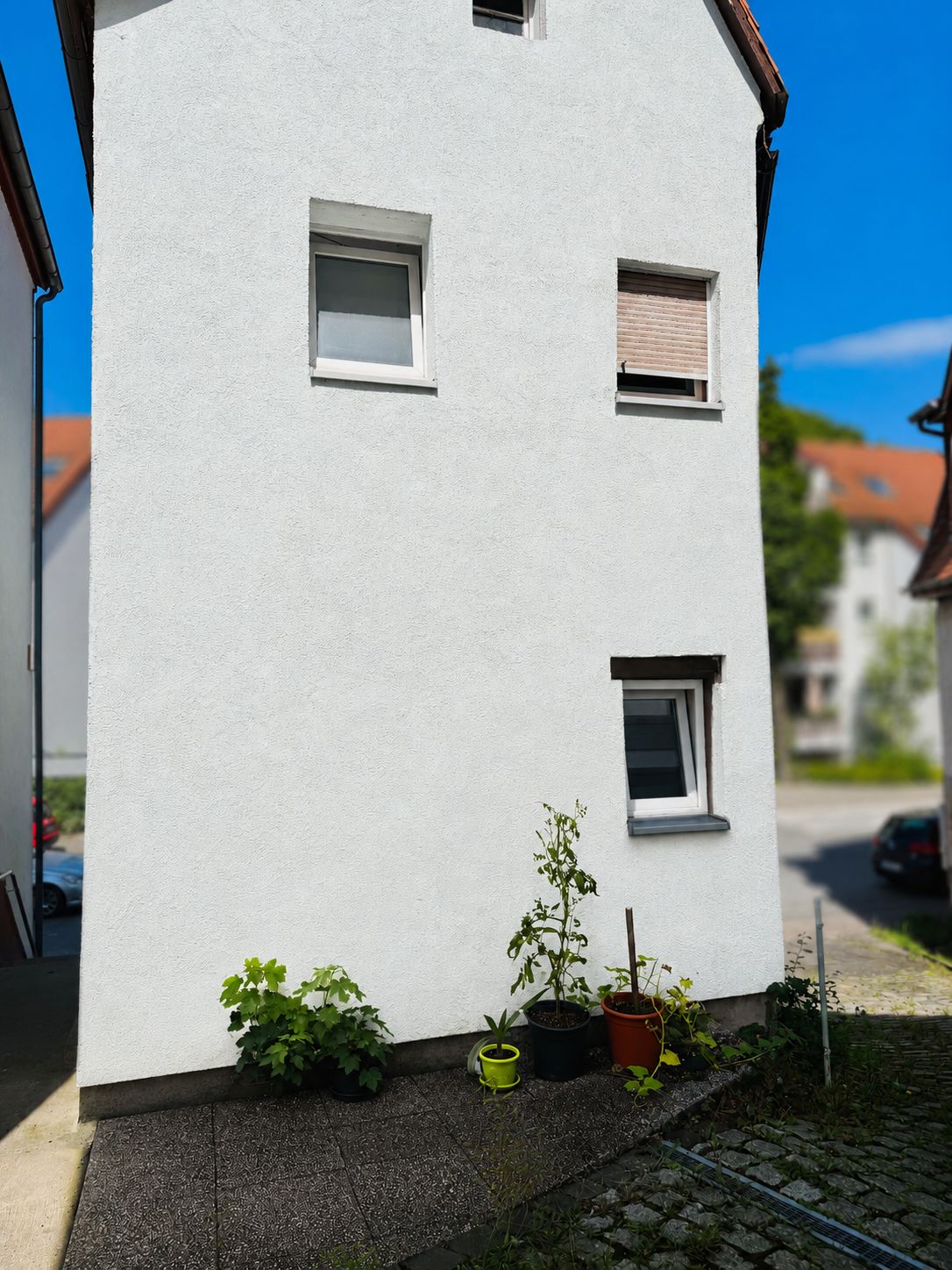 Weiße Hauswand mit drei Fenstern und mehreren Topfpflanzen auf dem Boden davor.