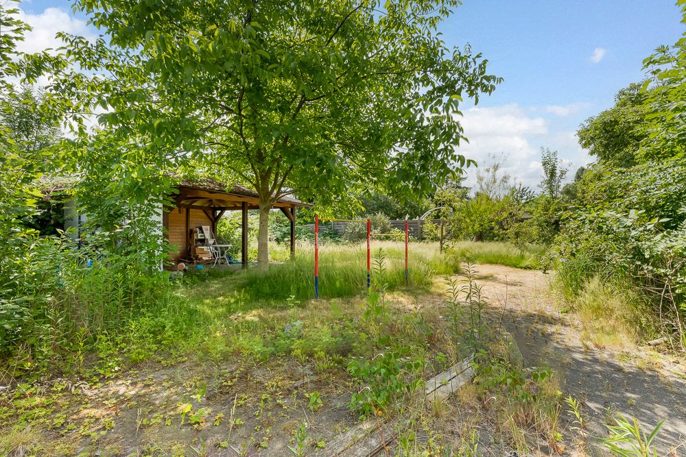 Garten mit großem Baum, einer überdachten Sitzecke und überwachsenem Rasen.