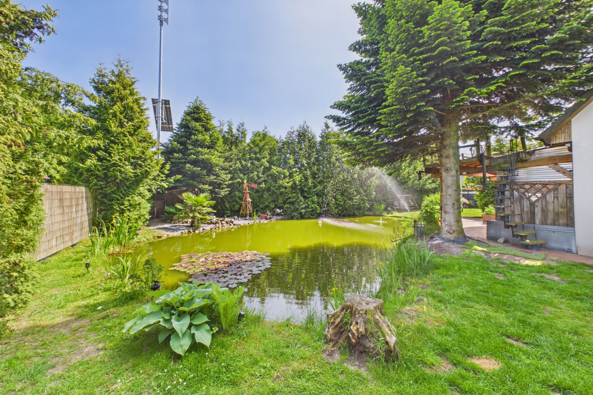Garten mit Teich, großen Bäumen, Rasen und angrenzendem Haus, umgeben von dichter Vegetation.