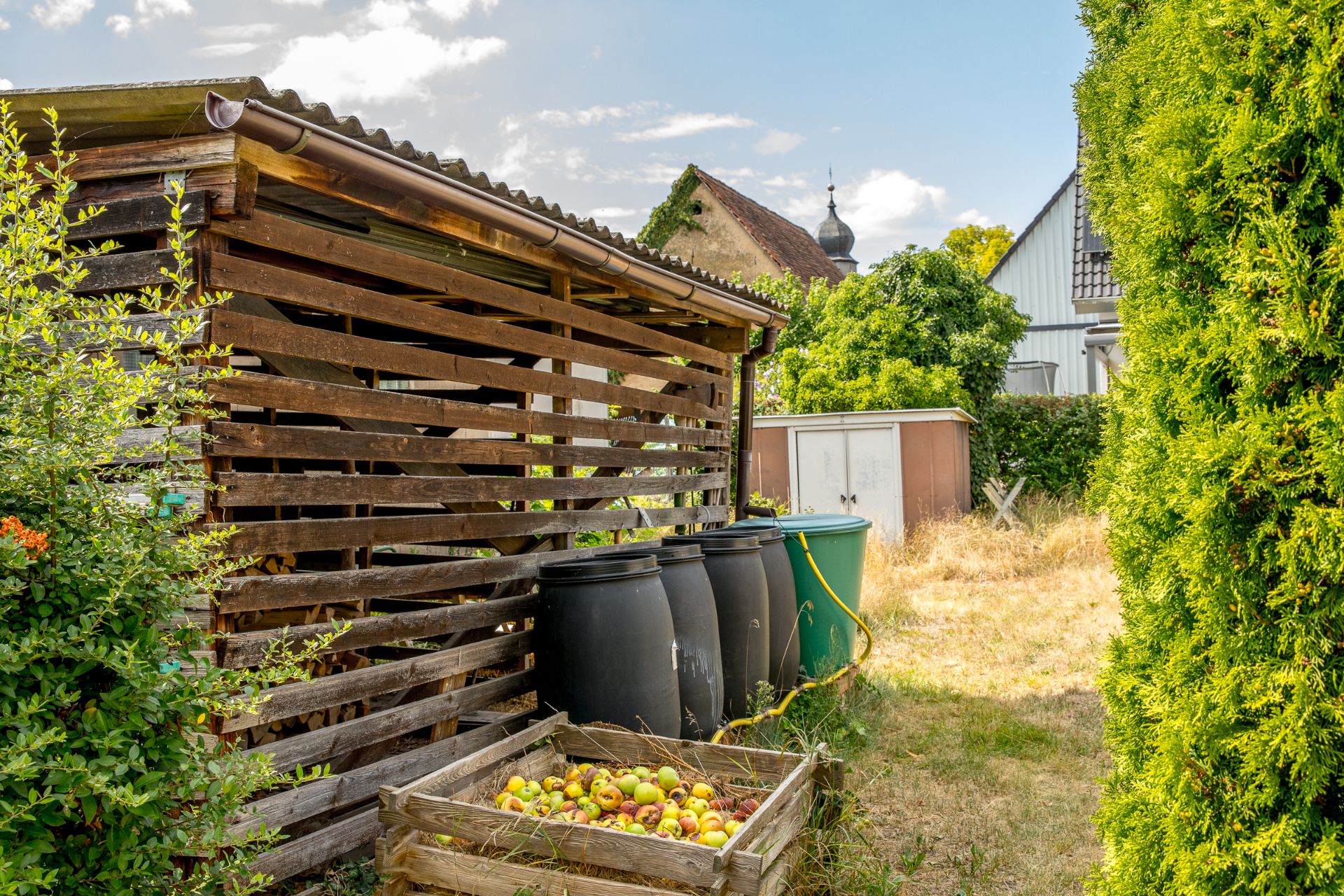 Holzunterstand mit Regentonnen und Kiste voller Äpfel im Garten eines Wohnhauses.
