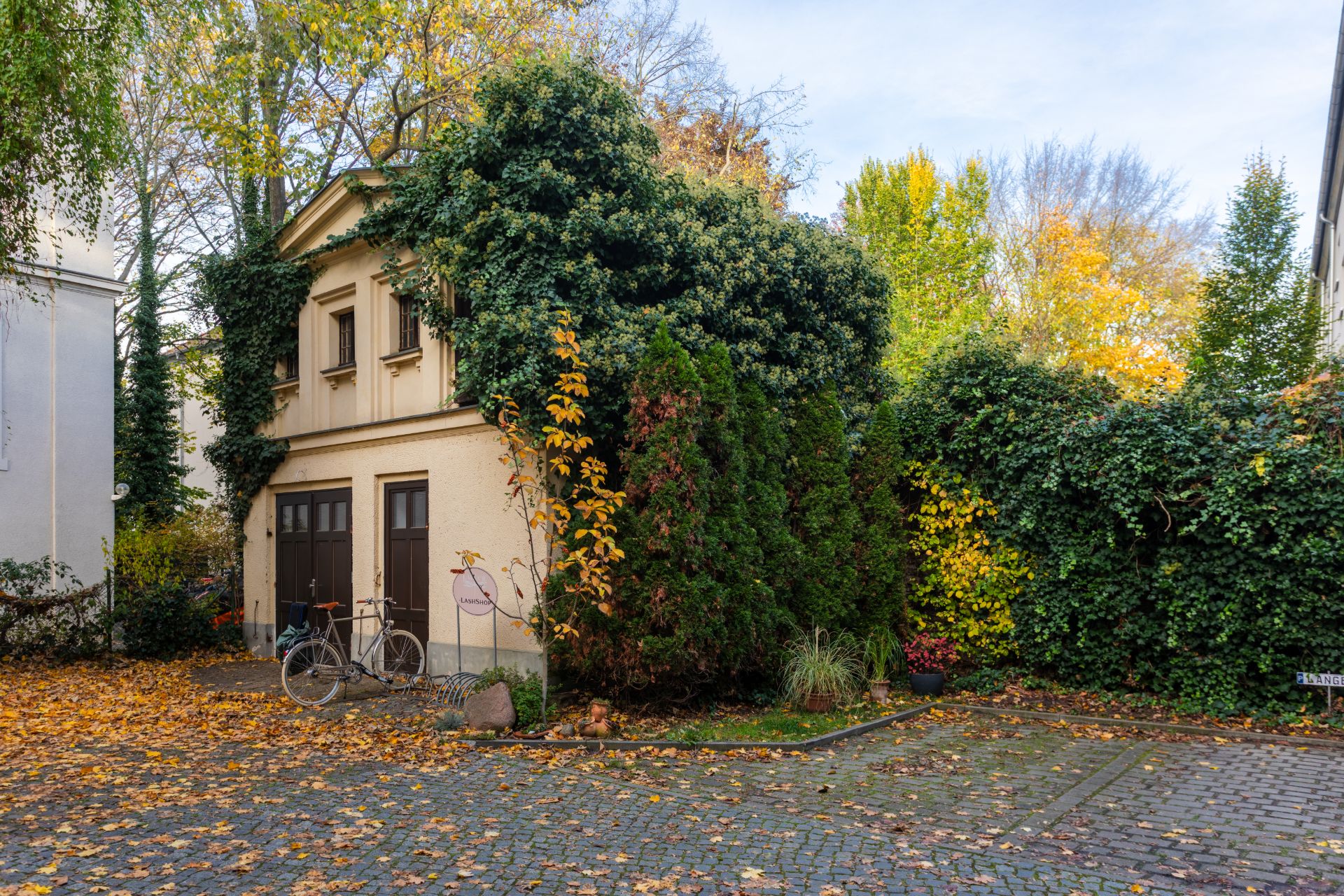 Kleines Wohnhaus mit Efeu bewachsen, Fahrrad davor, umgeben von Bäumen im Herbst.