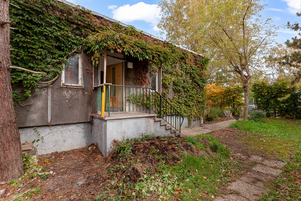 Einstöckiges Haus mit Kletterpflanzen an der Fassade, kleinem Vorbau und Garten mit Bäumen.
