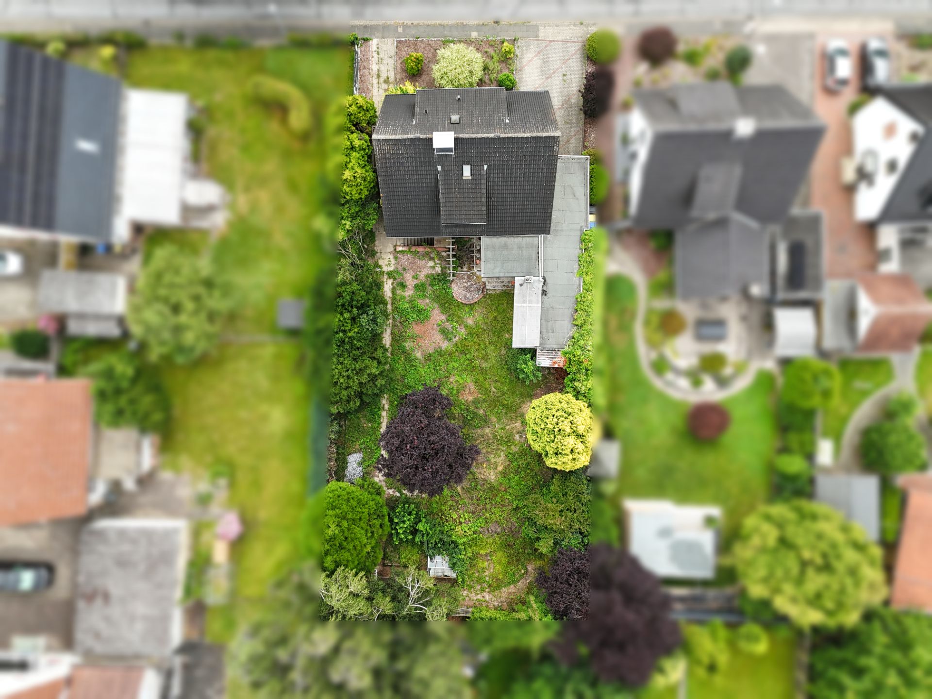 Luftaufnahme eines Einfamilienhauses mit großem Garten und umliegenden Bäumen.