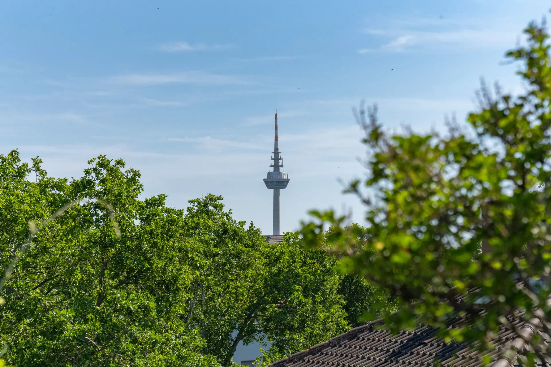 Blick auf einen Fernsehturm hinter grünen Bäumen und einem Dach im Vordergrund.