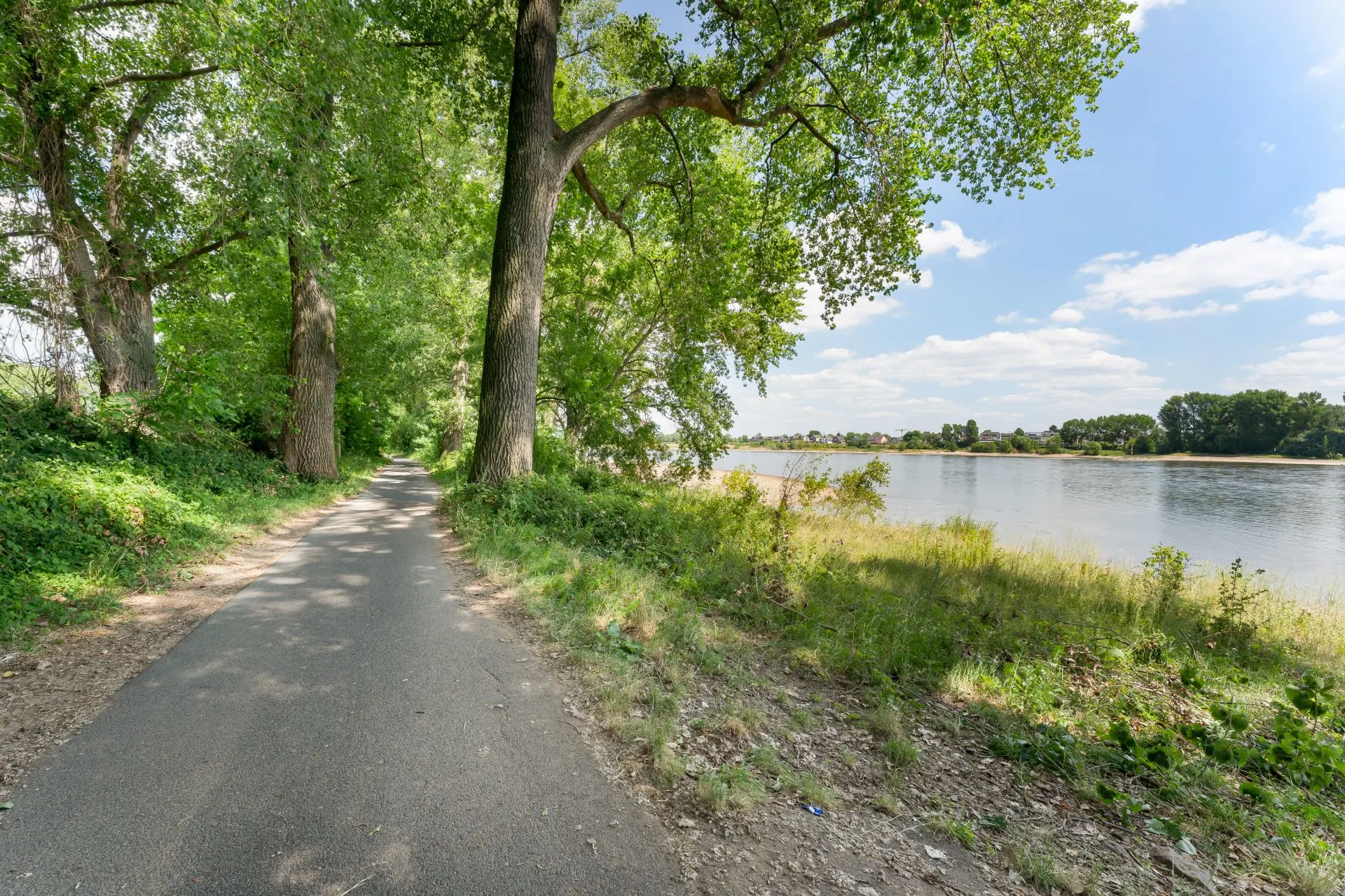 Asphaltweg am Flussufer, gesäumt von hohen Bäumen und Blick auf das Wasser.