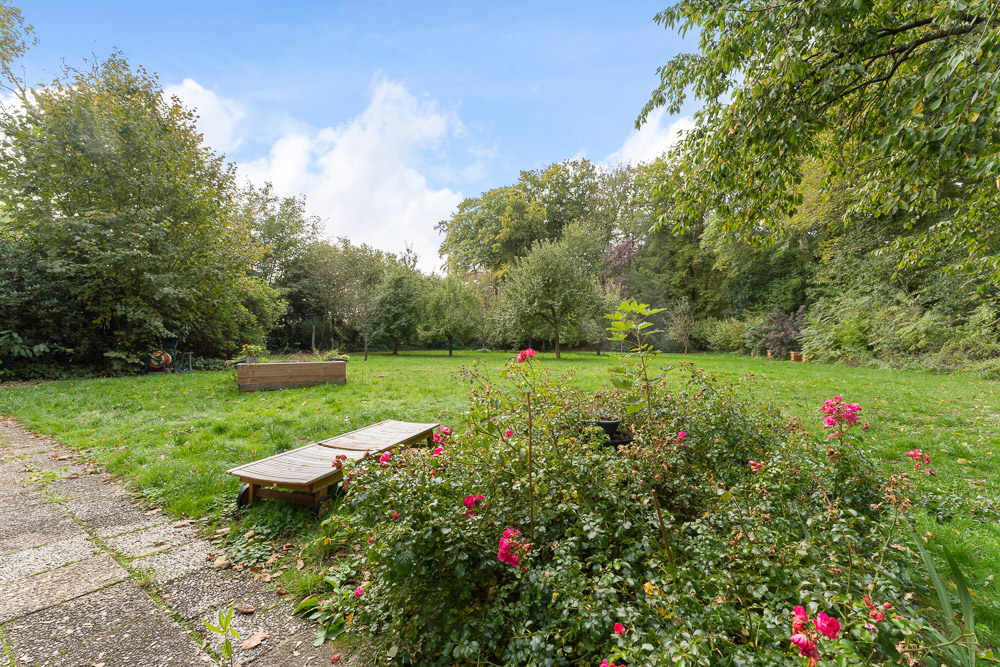 Großer grüner Garten mit Blumen, Bäumen, Bank und einem Hochbeet unter blauem Himmel.