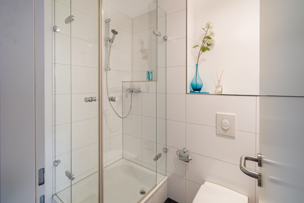 Modernes, kleines Bad mit Dusche, Toilette und einer Vase mit Blume auf dem Regal.