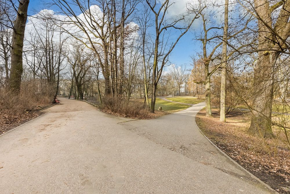 Zwei geteerte Wege führen durch einen Park mit kahlen Bäumen im Winter.