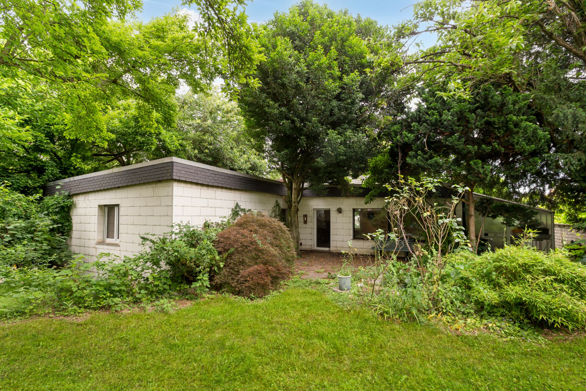 Einstöckiges Wohnhaus mit Flachdach, umgeben von Bäumen und viel Grün im Garten.