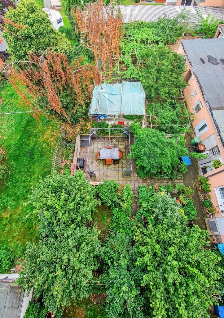 Garten mit vielen grünen Pflanzen, gepflasterter Terrasse und Sitzbereich, von oben fotografiert.