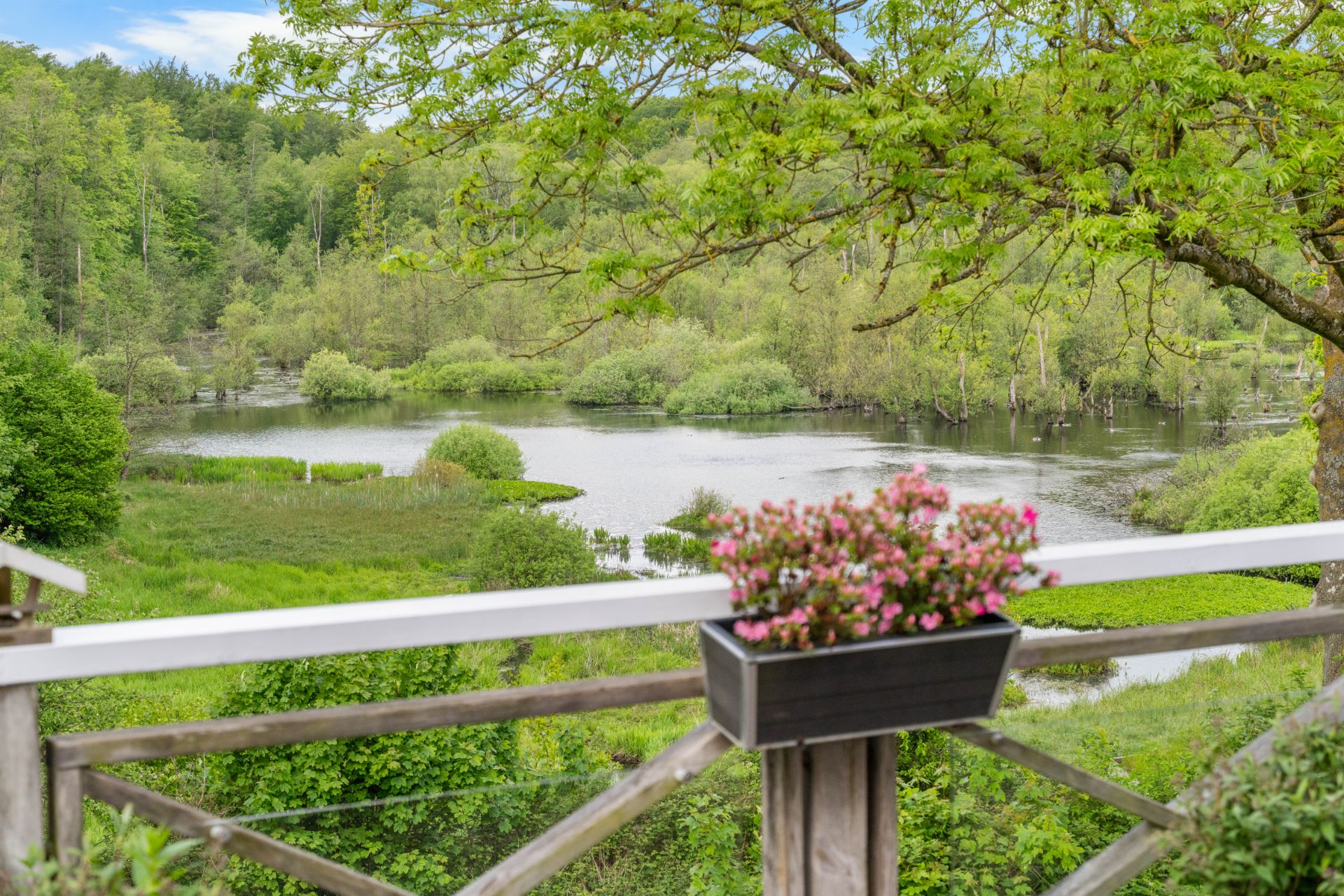 Blick von einer Terrasse mit Blumenkasten auf einen See und grüne Bäume.