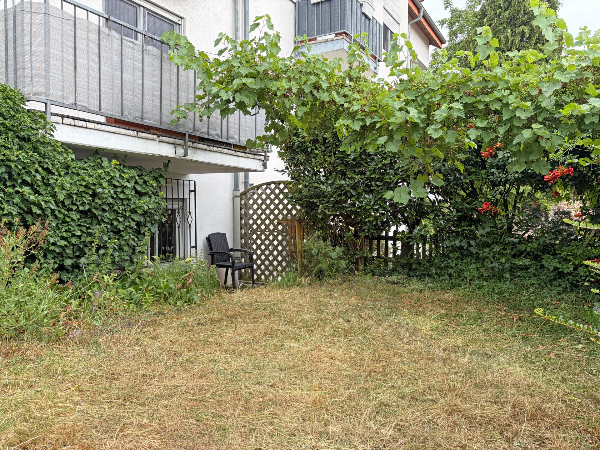 Kleiner Garten mit zwei Stühlen, Sträuchern, Bewuchs und Balkon an einem Wohnhaus.