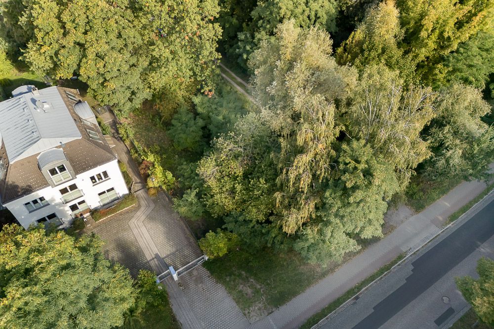 Luftaufnahme eines weißen Wohnhauses mit Einfahrt, umgeben von Bäumen und Gehweg.
