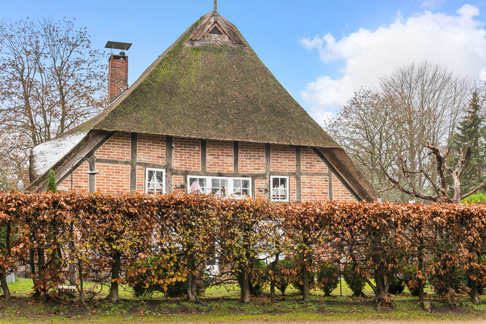 Backstein-Fachwerkhaus mit Reetdach, davor eine hohe Hecke und einige Bäume.