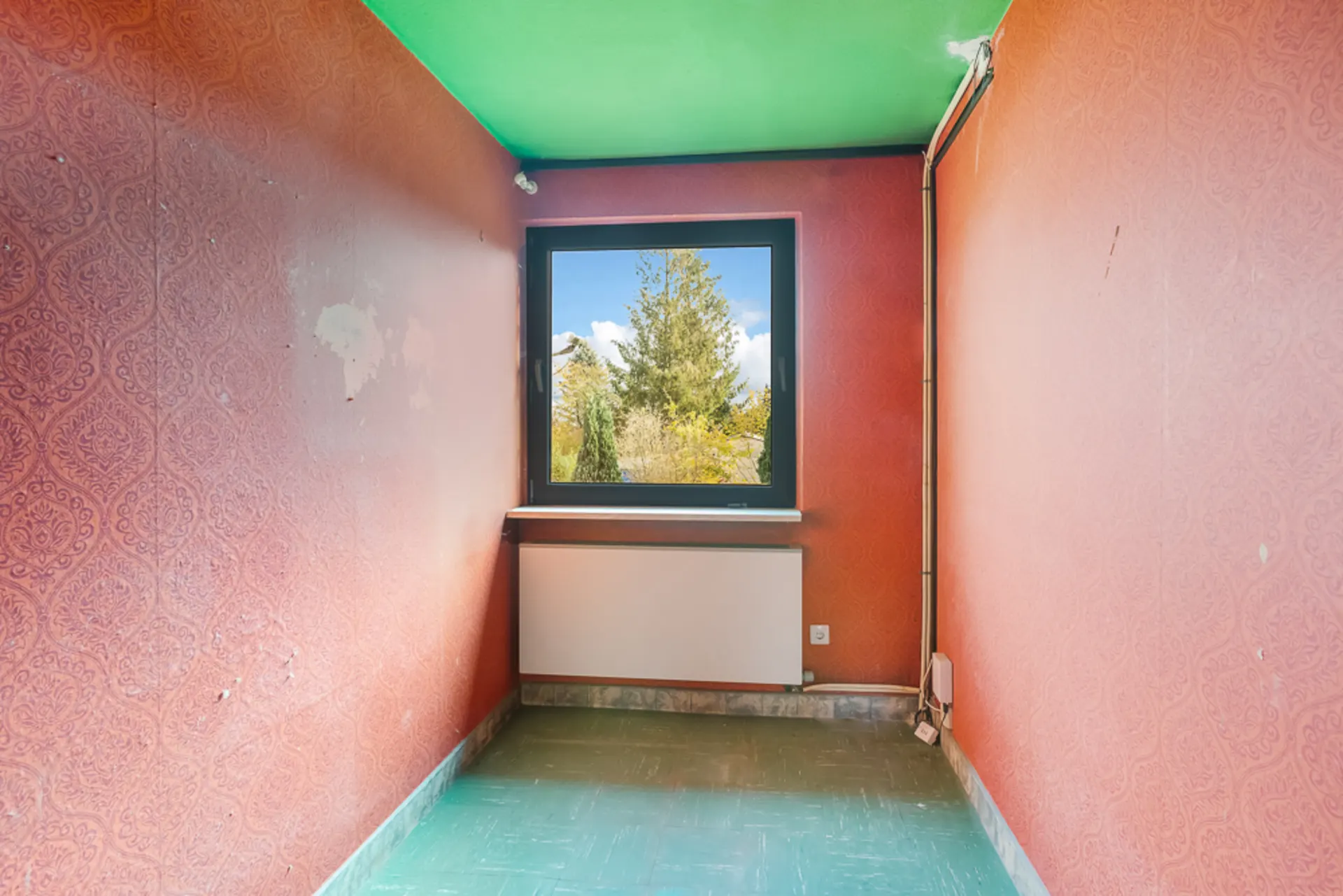 Kleiner leerer Raum mit roter Tapete, grünem Boden und Fenster mit Blick ins Grüne.