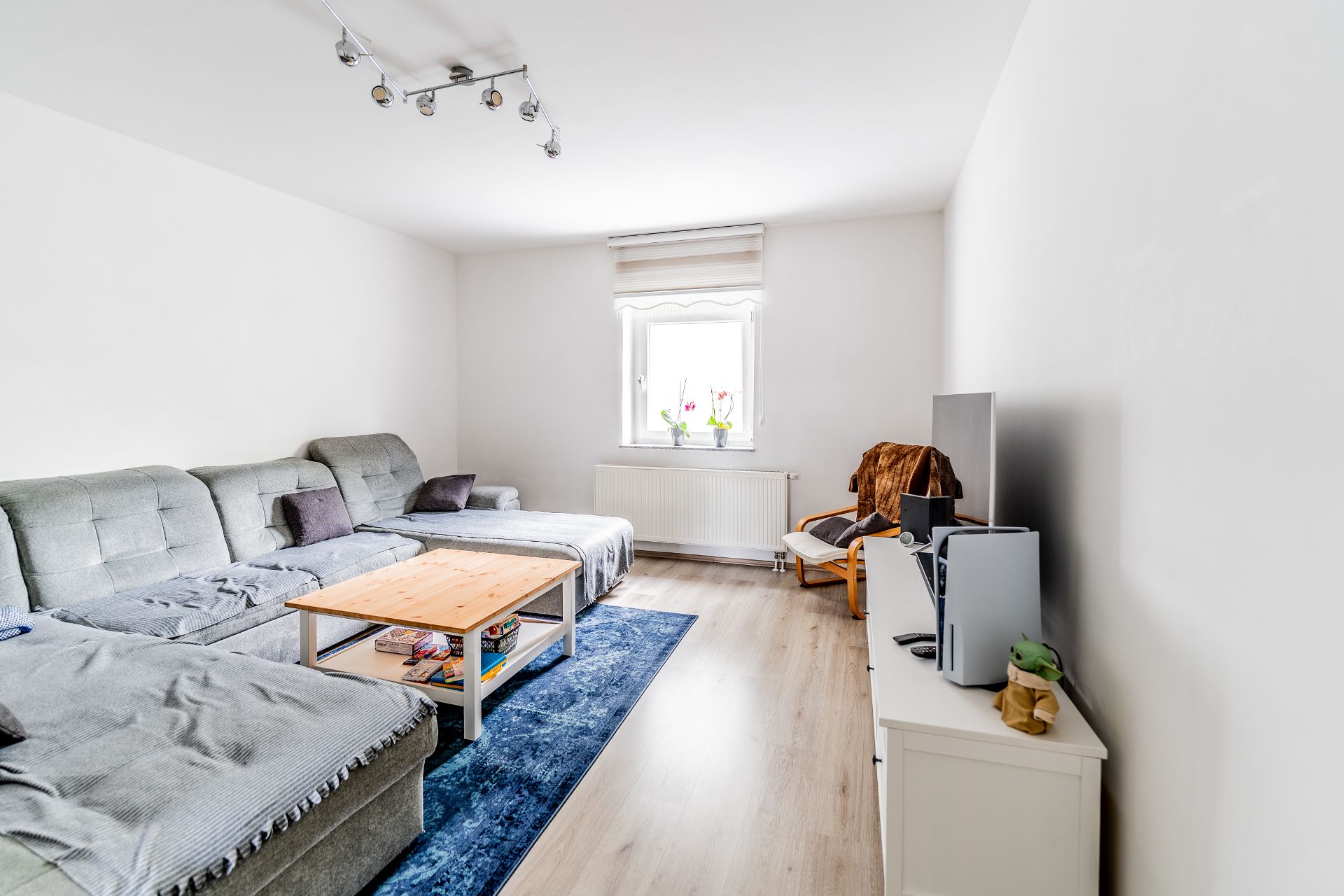 Helles Wohnzimmer mit grauem Sofa, Holztisch, Teppich und Fenster mit Blumen.