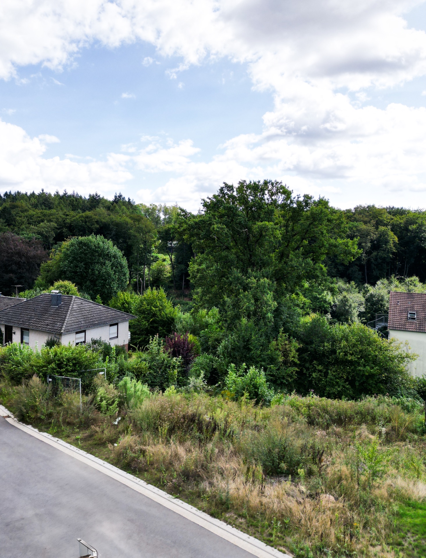 Blick auf ein Wohnhaus mit Garten und viel Grün, daneben eine Straße.