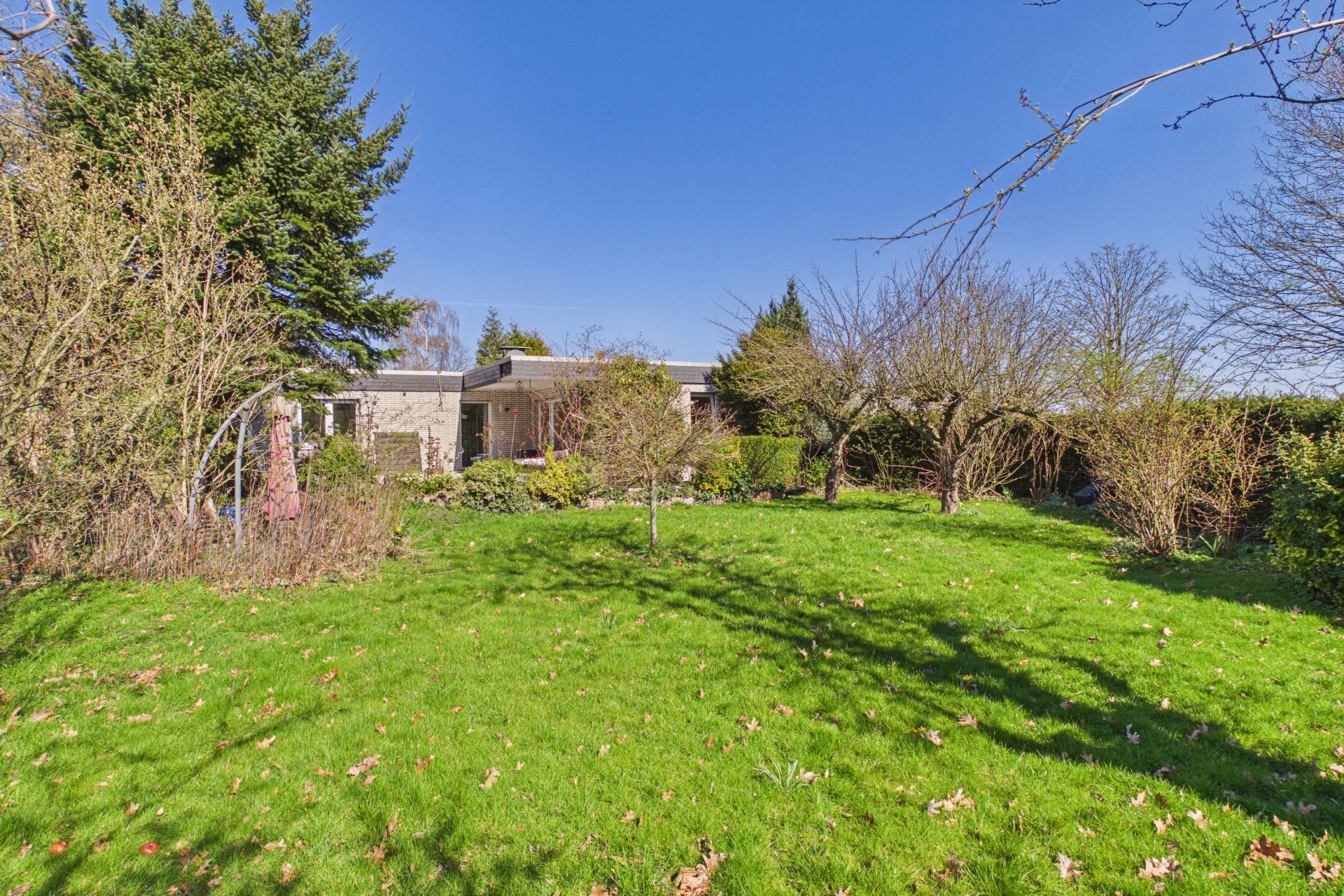 Großer Garten mit Rasen, Bäumen und Sträuchern vor einem Einfamilienhaus.