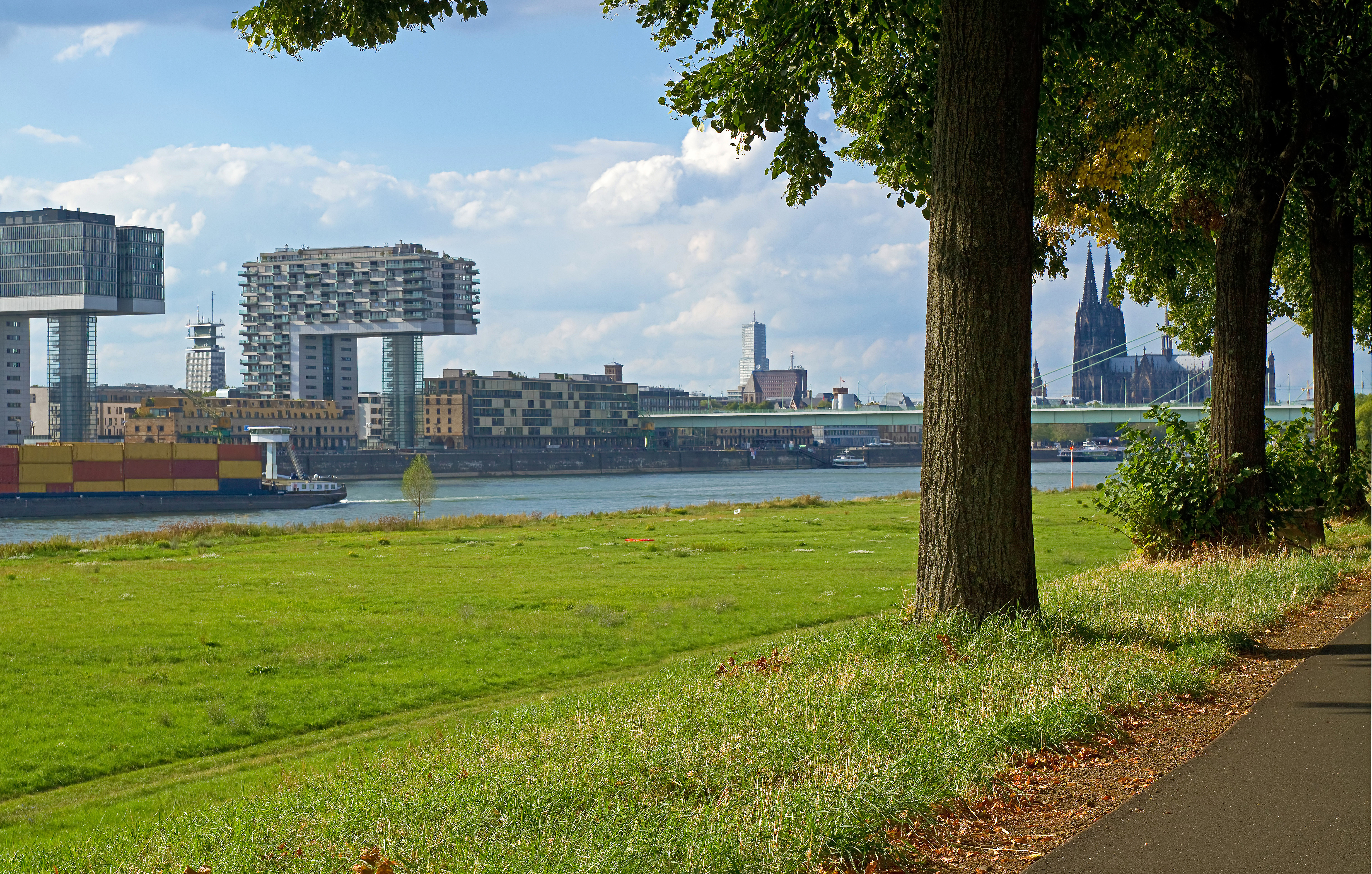 Grüne Wiese mit Bäumen am Fluss, moderne Gebäude und eine Brücke im Hintergrund.