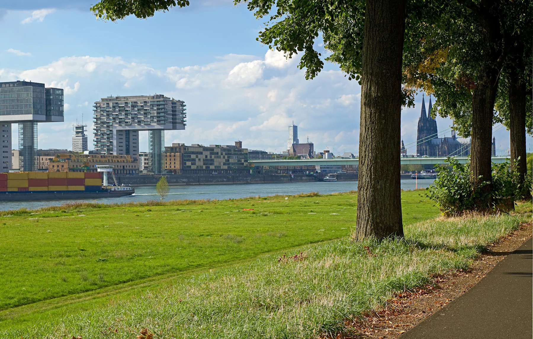 Grüne Wiese mit Bäumen am Fluss, moderne Gebäude und eine Brücke im Hintergrund.