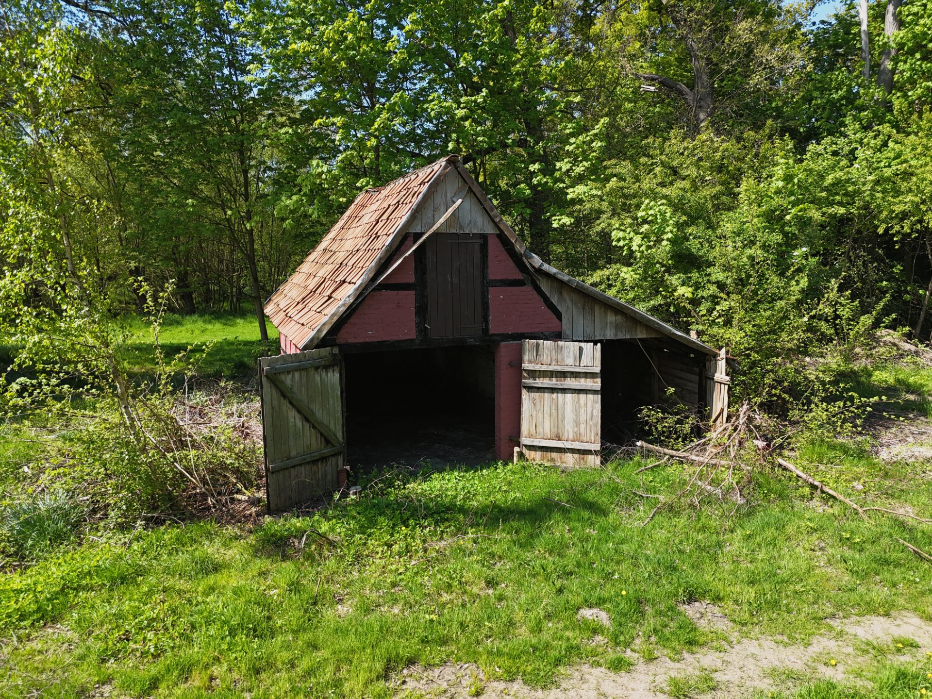 Alte kleine Holzscheune mit offenen Türen, umgeben von grüner Vegetation.