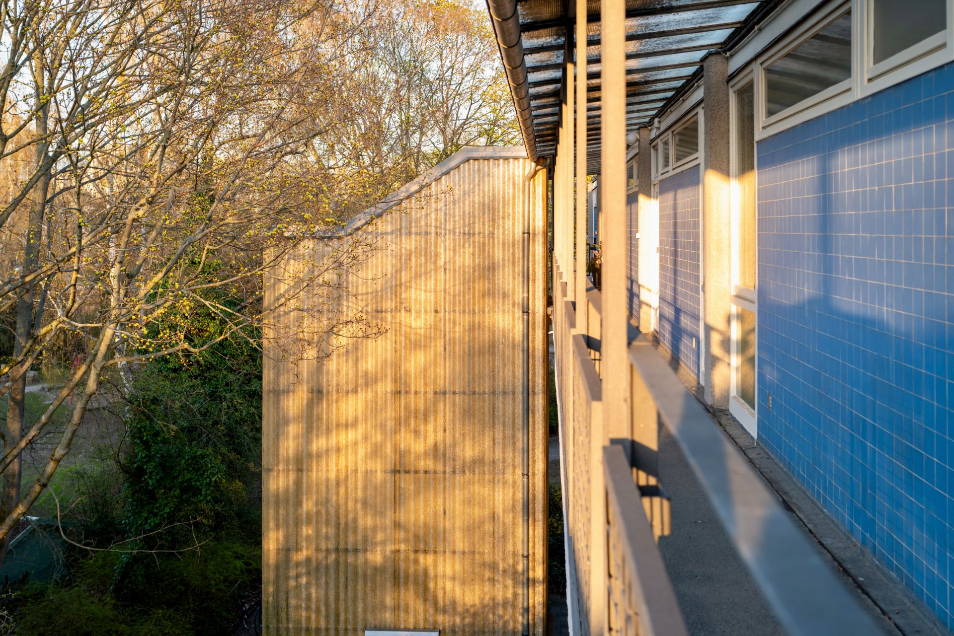 Blick auf einen Balkon mit blauer Kachelwand, daneben Bäume und ein Nachbargebäude.