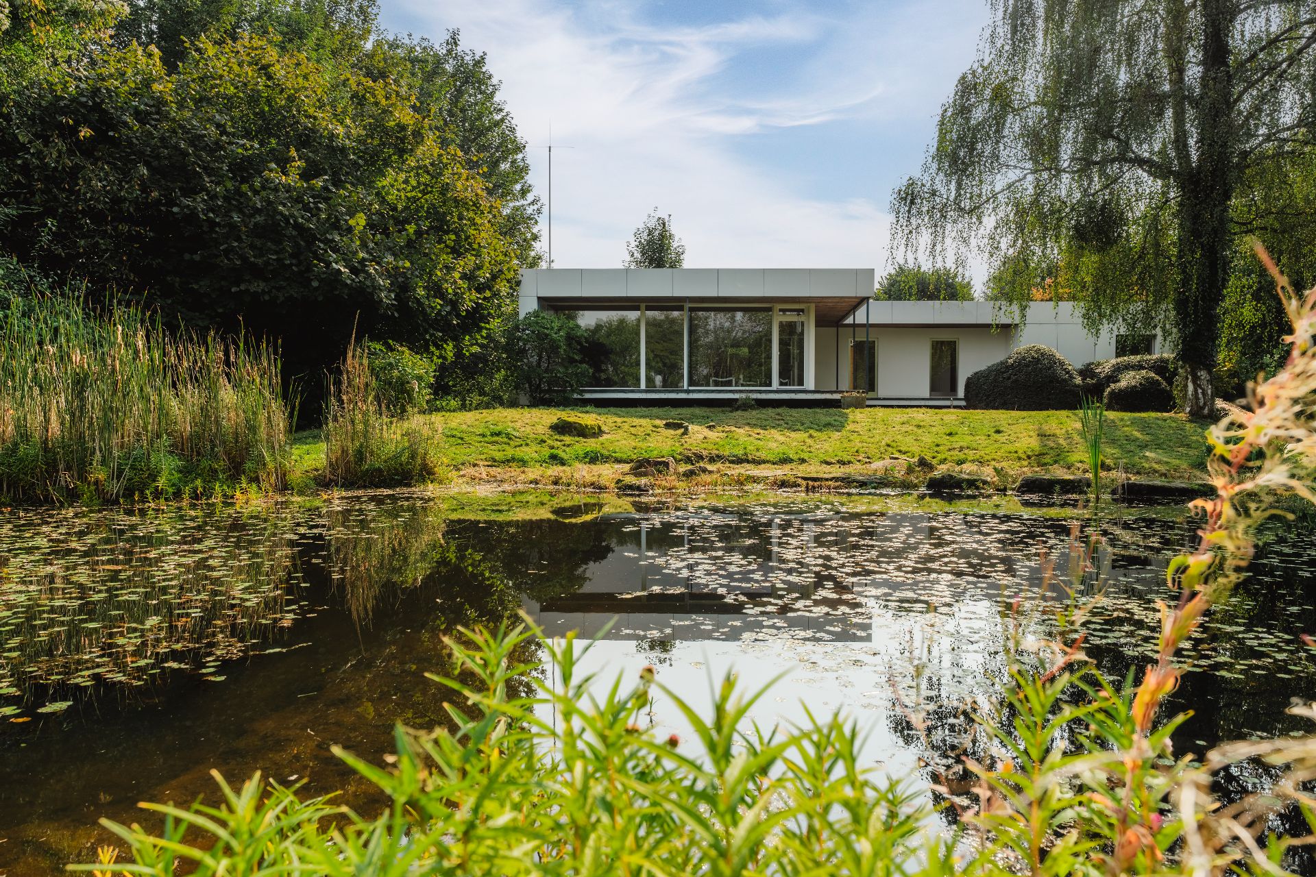 Modernes Haus mit großen Fenstern vor einem Teich, umgeben von Bäumen und Garten.