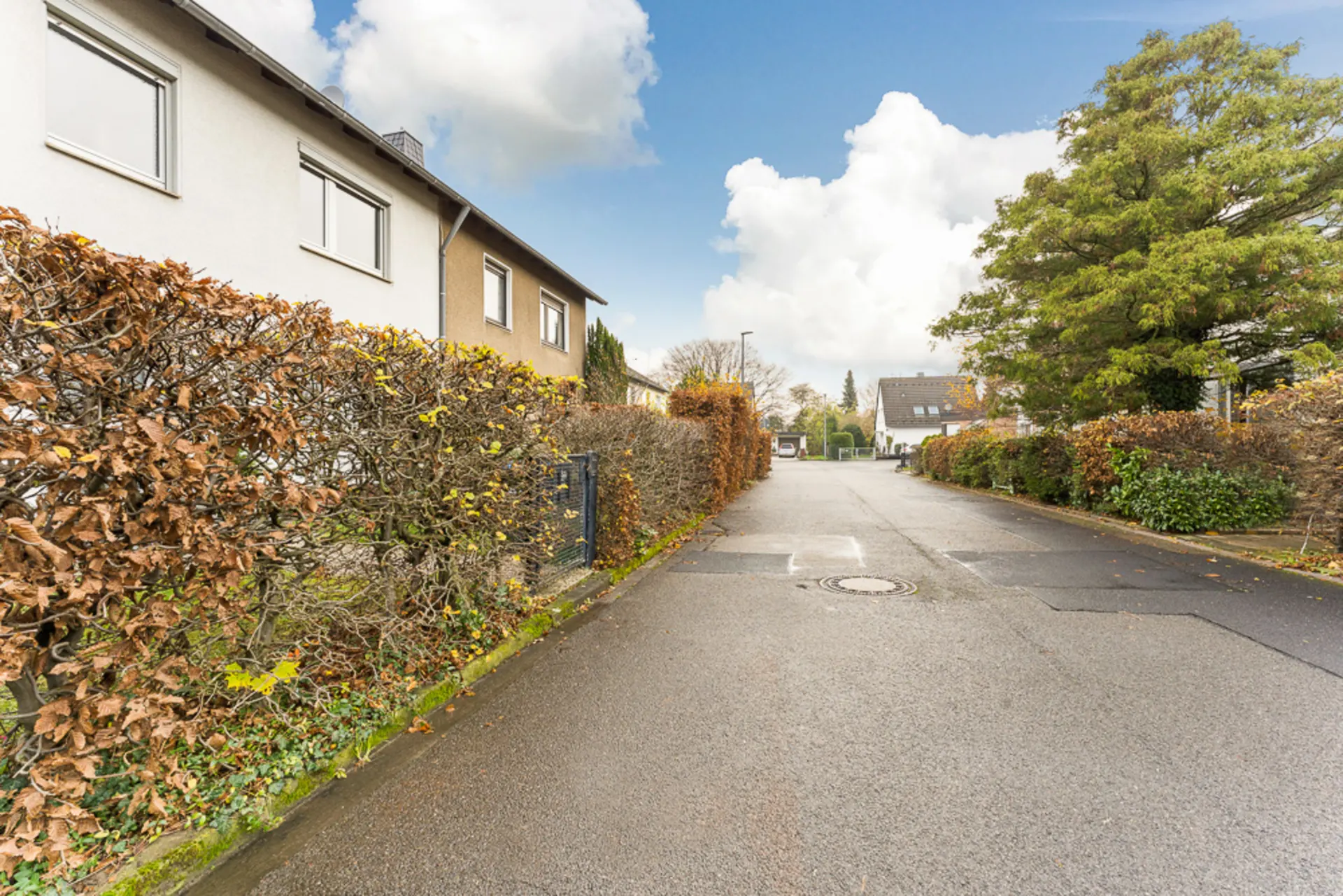 Ruhige Wohnstraße mit Häusern, Hecken und Bäumen an einem leicht bewölkten Tag.