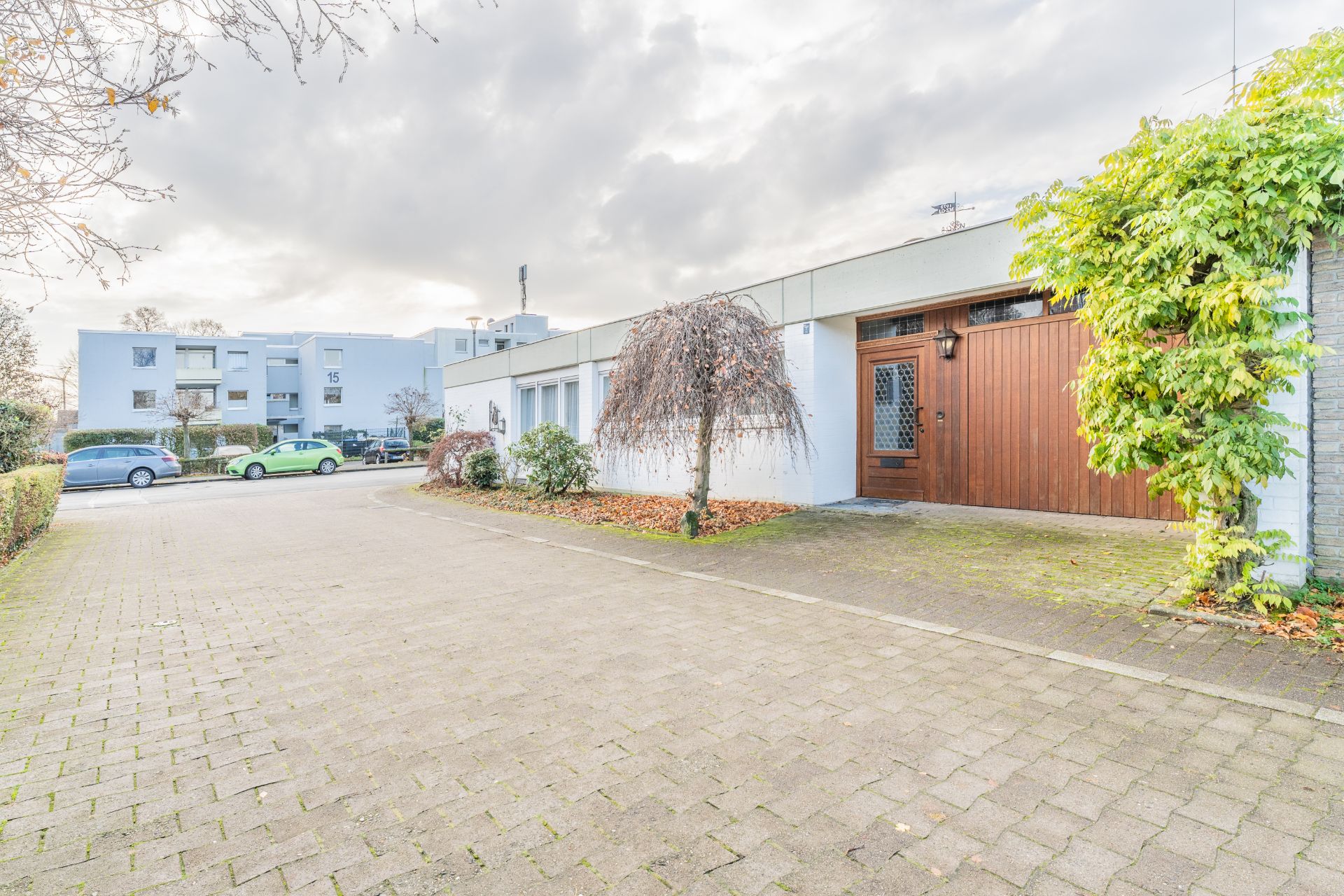 Einfamilienhaus mit Holztür, Garagentor, kleinem Baum und Einfahrt, daneben stehen geparkte Autos.