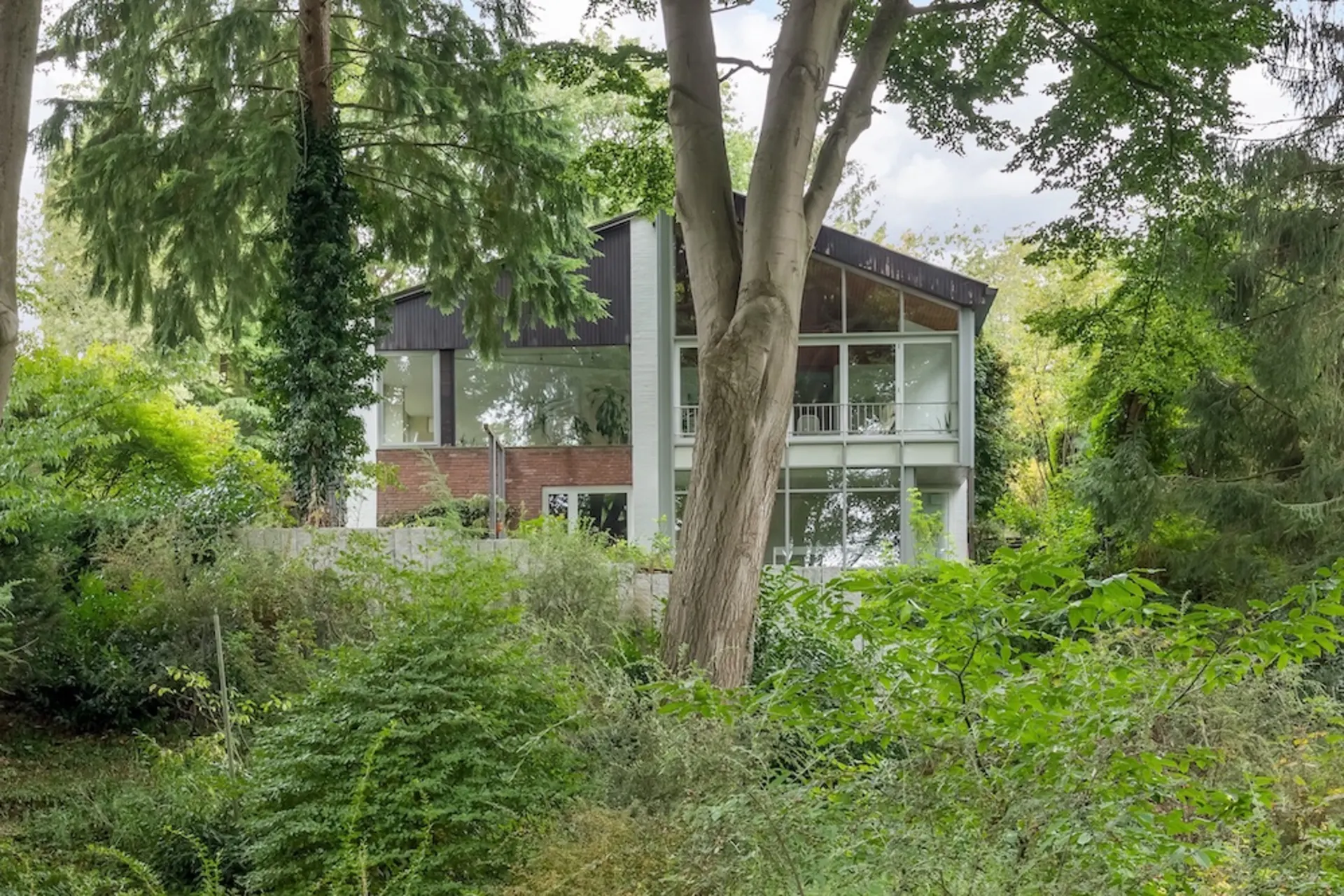 Modernes Wohnhaus mit großen Fenstern, umgeben von hohen Bäumen und viel Grün.