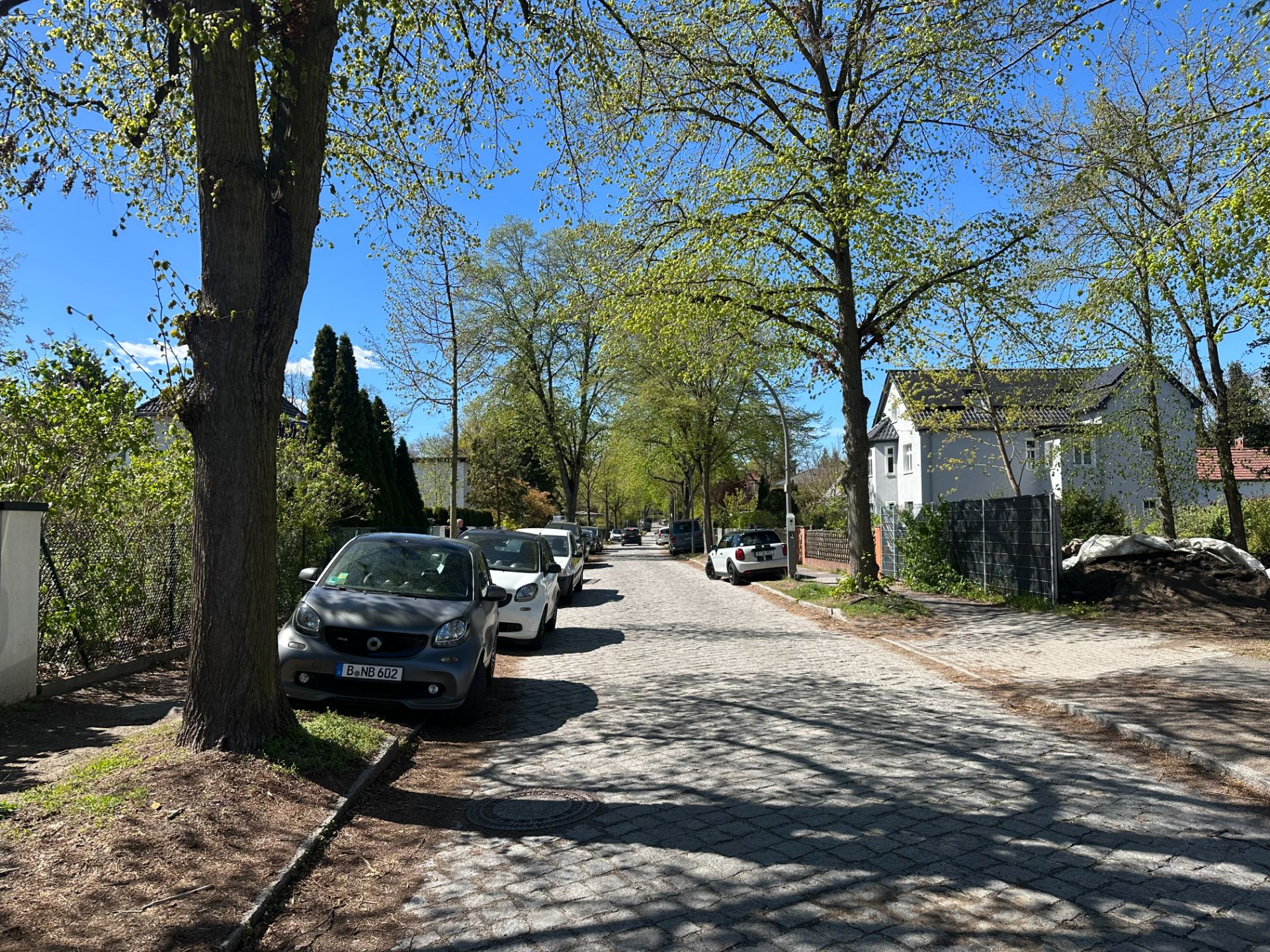 Baumbestandene Straße in Wohngegend mit parkenden Autos und Häusern bei sonnigem Wetter.