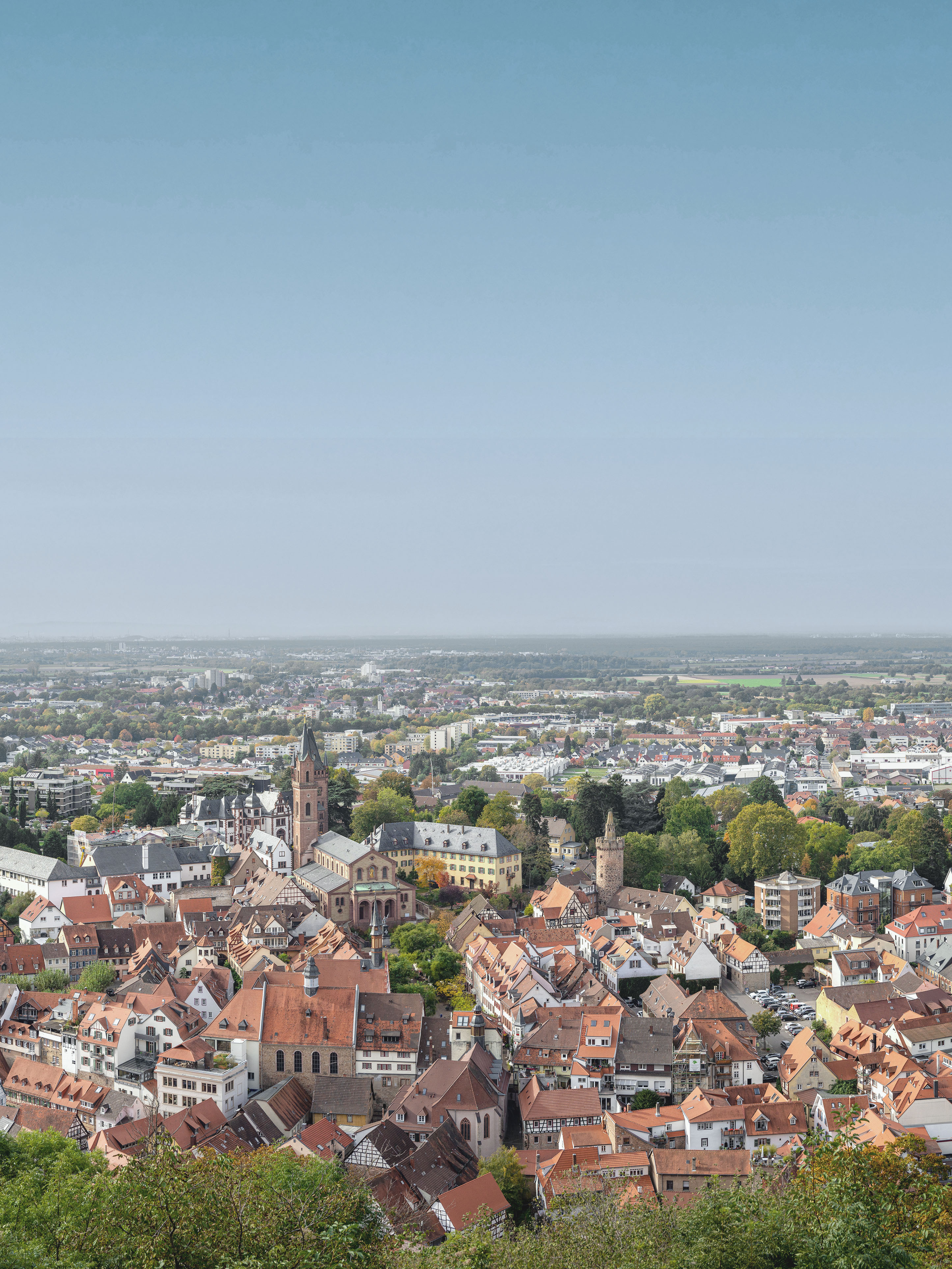 Blick auf eine Stadt mit roten Dächern und vielen Häusern, im Hintergrund grüne Landschaft.