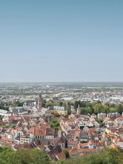 Blick auf eine Stadt mit roten Dächern und vielen Häusern, im Hintergrund grüne Landschaft.