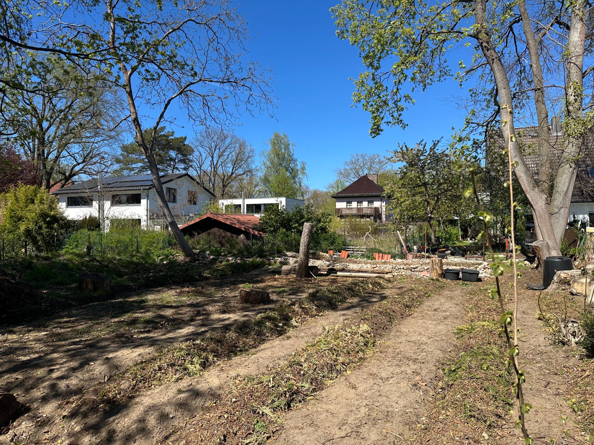 Großer Garten mit Bäumen, Sträuchern und Blick auf mehrere Wohnhäuser im Hintergrund.