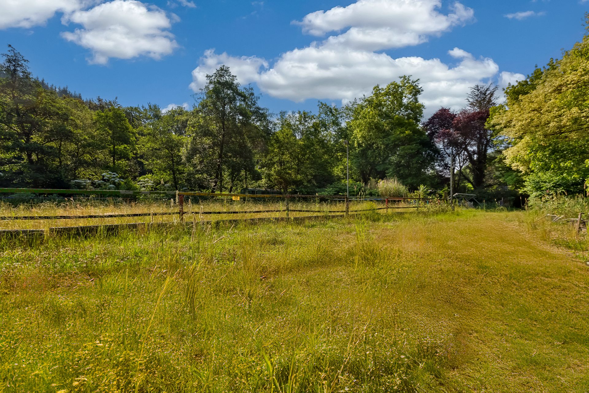 Großer, grüner Garten mit Wiese, Bäumen und Holzzaun unter blauem Himmel.
