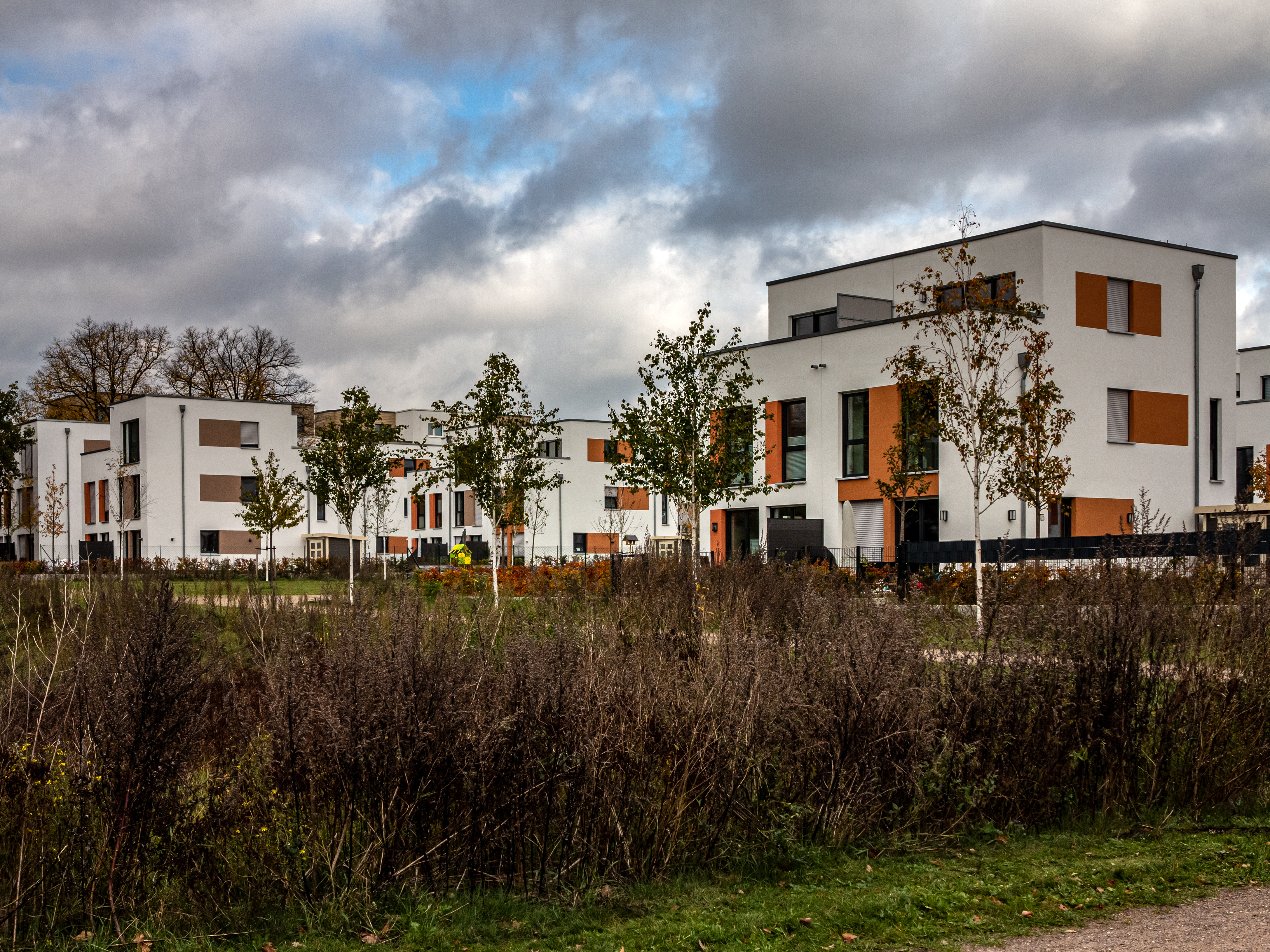 Moderne, weiße Wohngebäude mit orangefarbenen Fensterläden, umgeben von jungen Bäumen und Sträuchern.