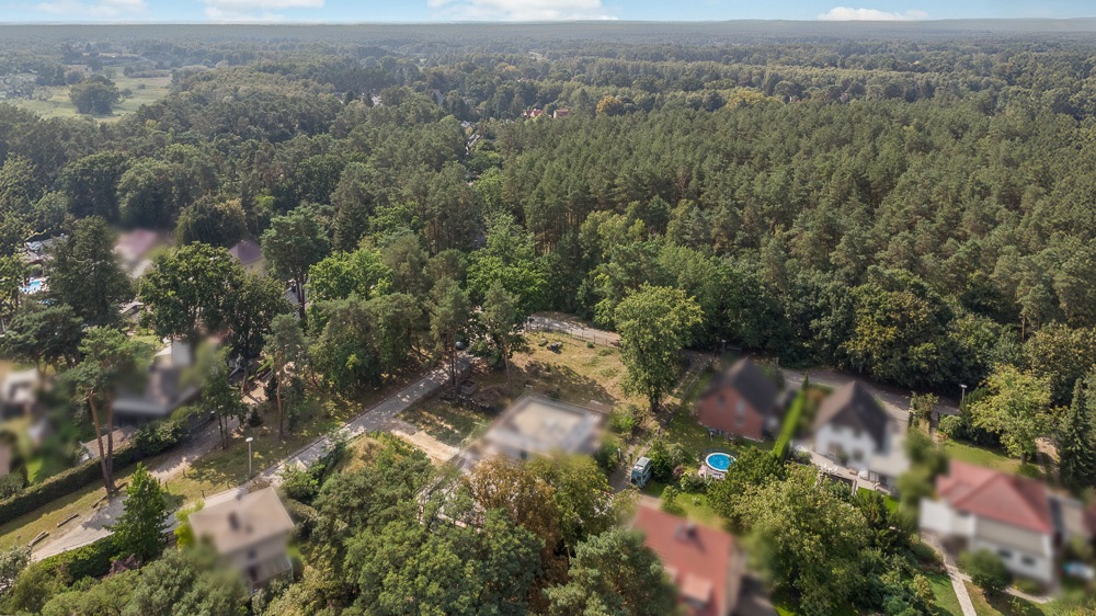 Luftaufnahme von Wohnhäusern und Bäumen an einer Straße, angrenzend an einen großen Wald.