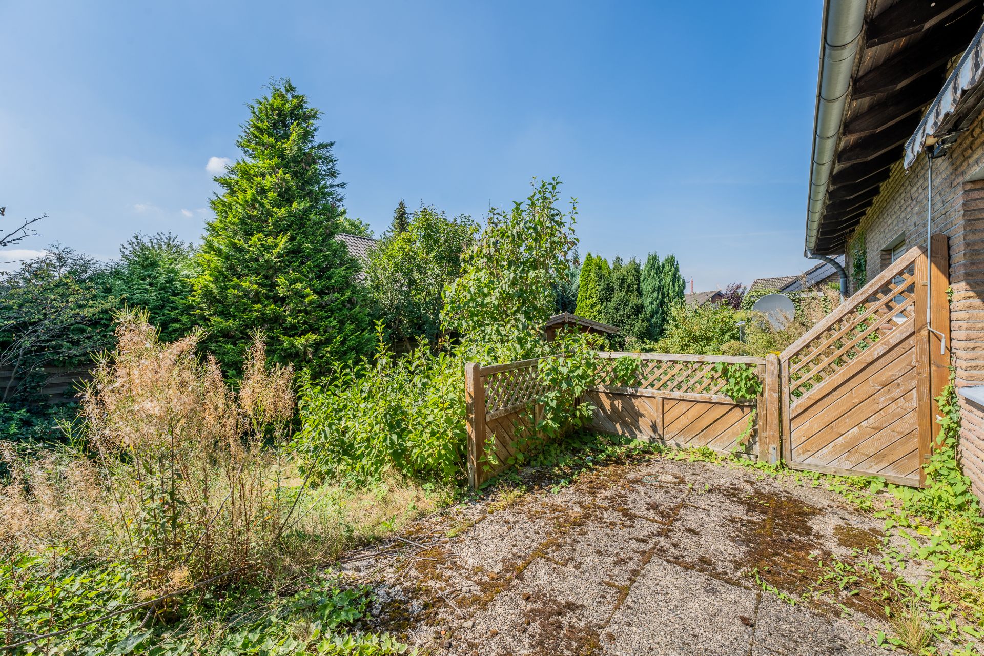 Überwachsene Terrasse mit Holzzaun, viel Grün und Hauswand rechts.