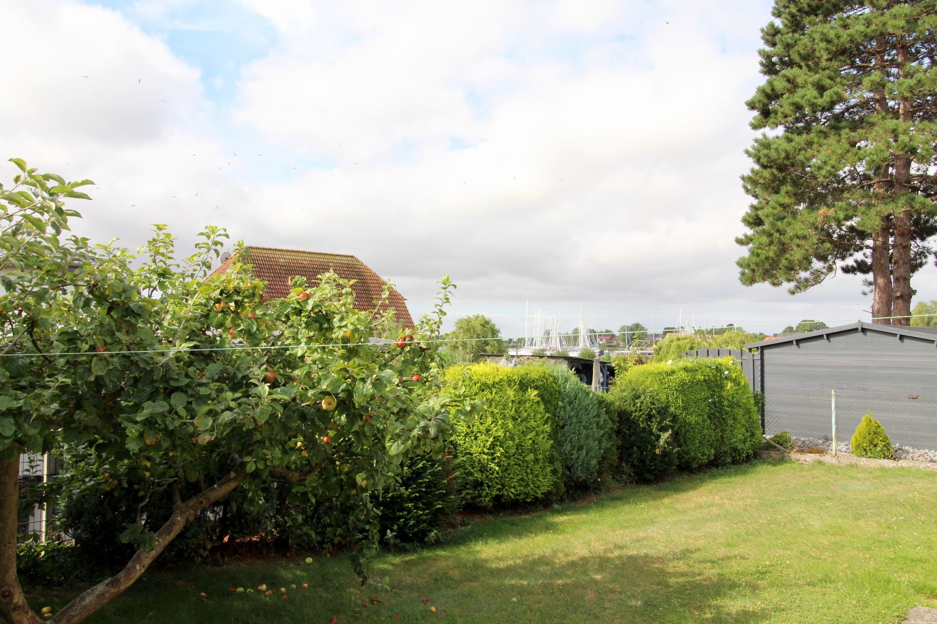 Garten mit Apfelbaum, grüner Wiese, Hecken und einem grauen Gartenhaus im Hintergrund.