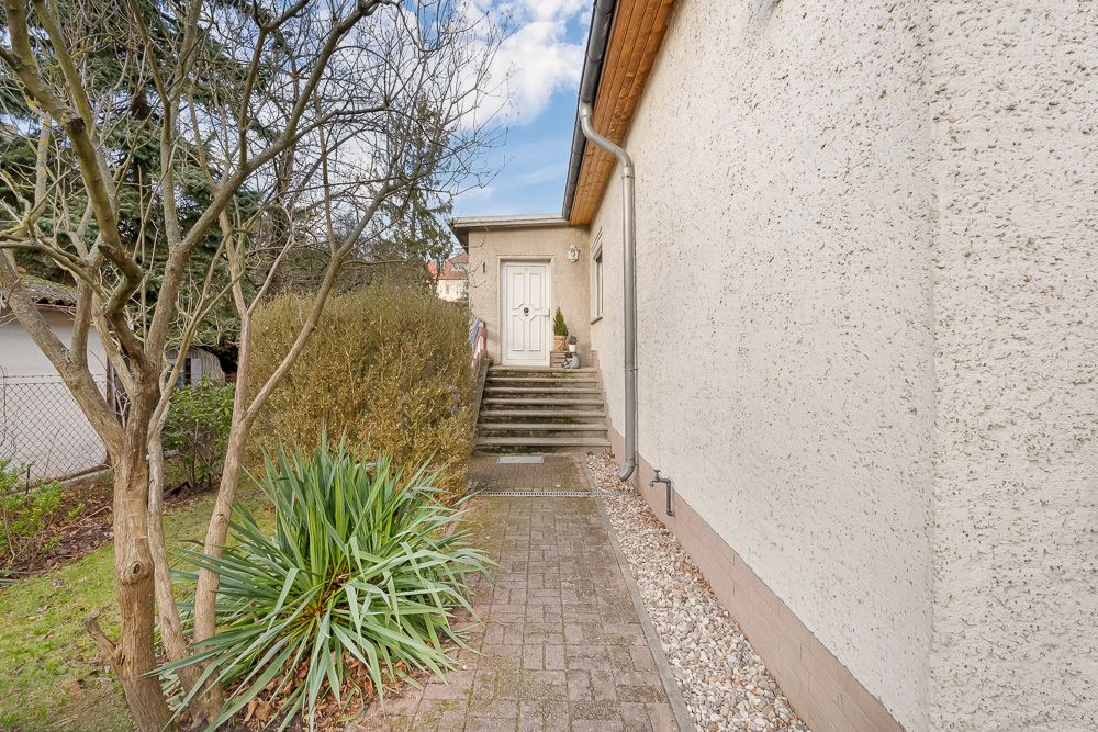 Gepflasterter Weg mit Treppe führt zu einer weißen Haustür, umgeben von Sträuchern und Bäumen.