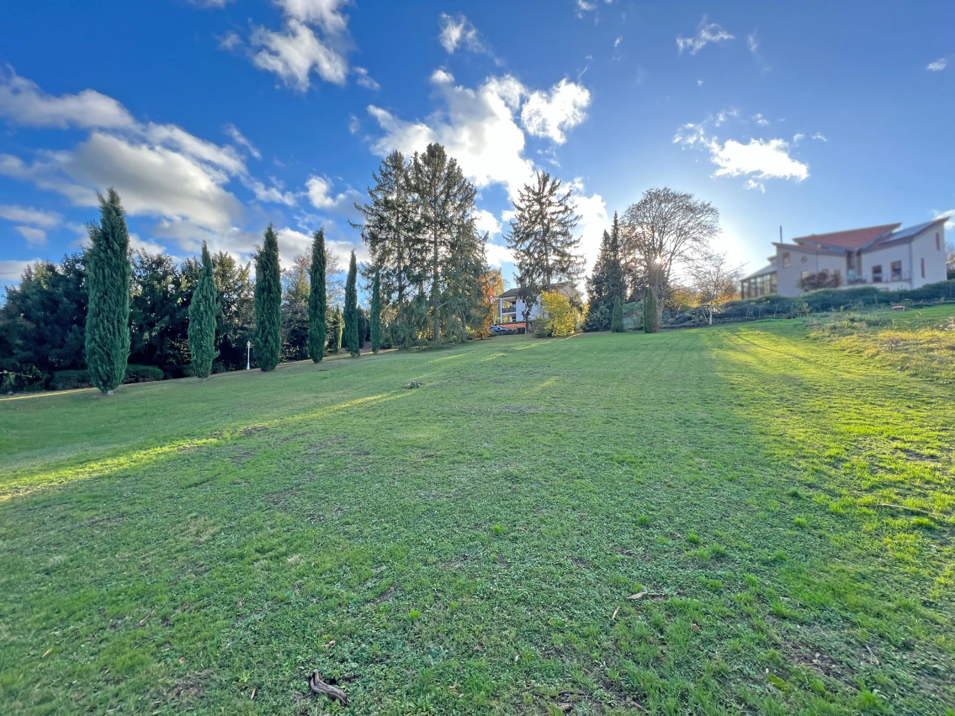 Große, grüne Wiese mit Bäumen und einem Haus im Hintergrund unter blauem Himmel.