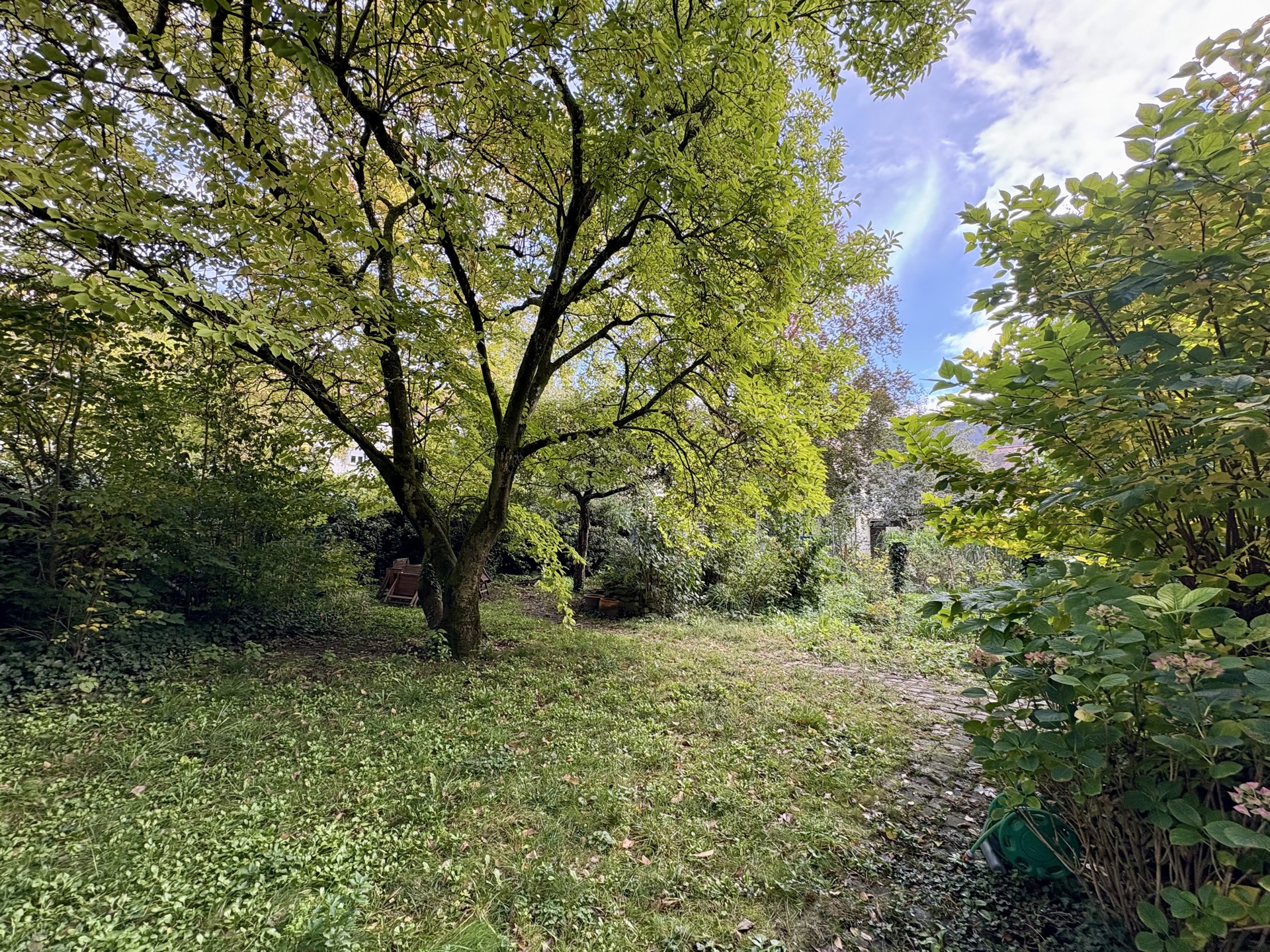 Grüner Garten mit Bäumen, Sträuchern und Rasen unter blauem Himmel.