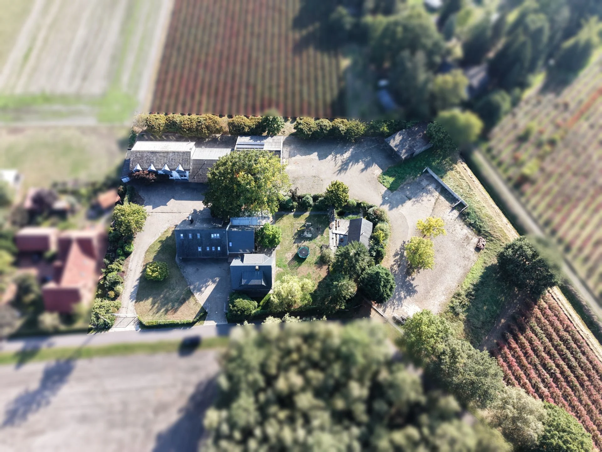 Luftaufnahme eines Wohnhauses mit Gartengrundstück, Bäumen und Zufahrtswegen.
