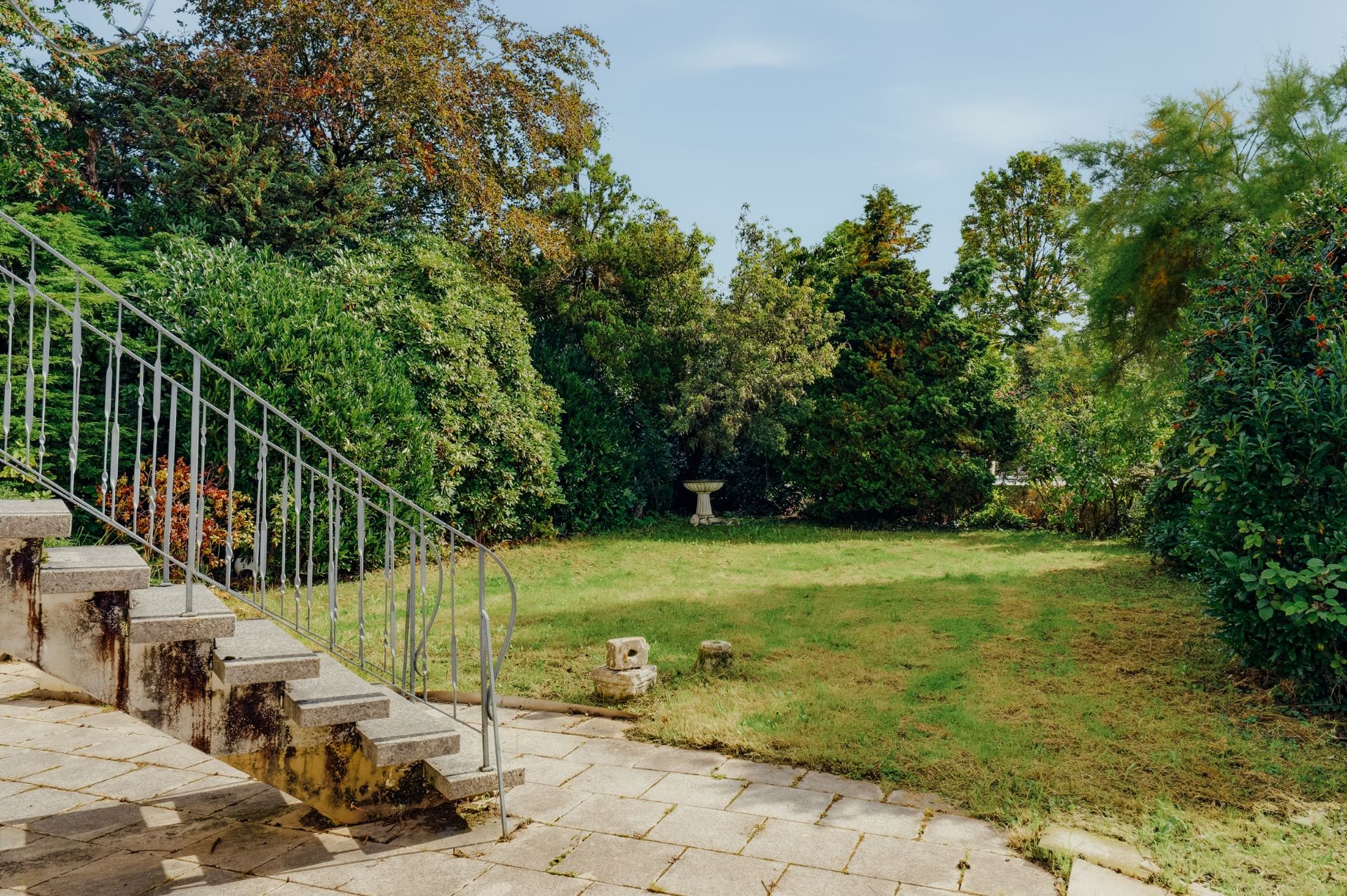 Garten mit Rasenfläche, Bäumen, Sträuchern und einer Steintreppe im Vordergrund.
