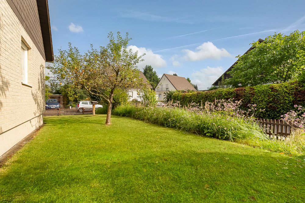 Grüner Garten mit Rasen, einem Baum und Sicht auf Nachbarhäuser bei Tageslicht.