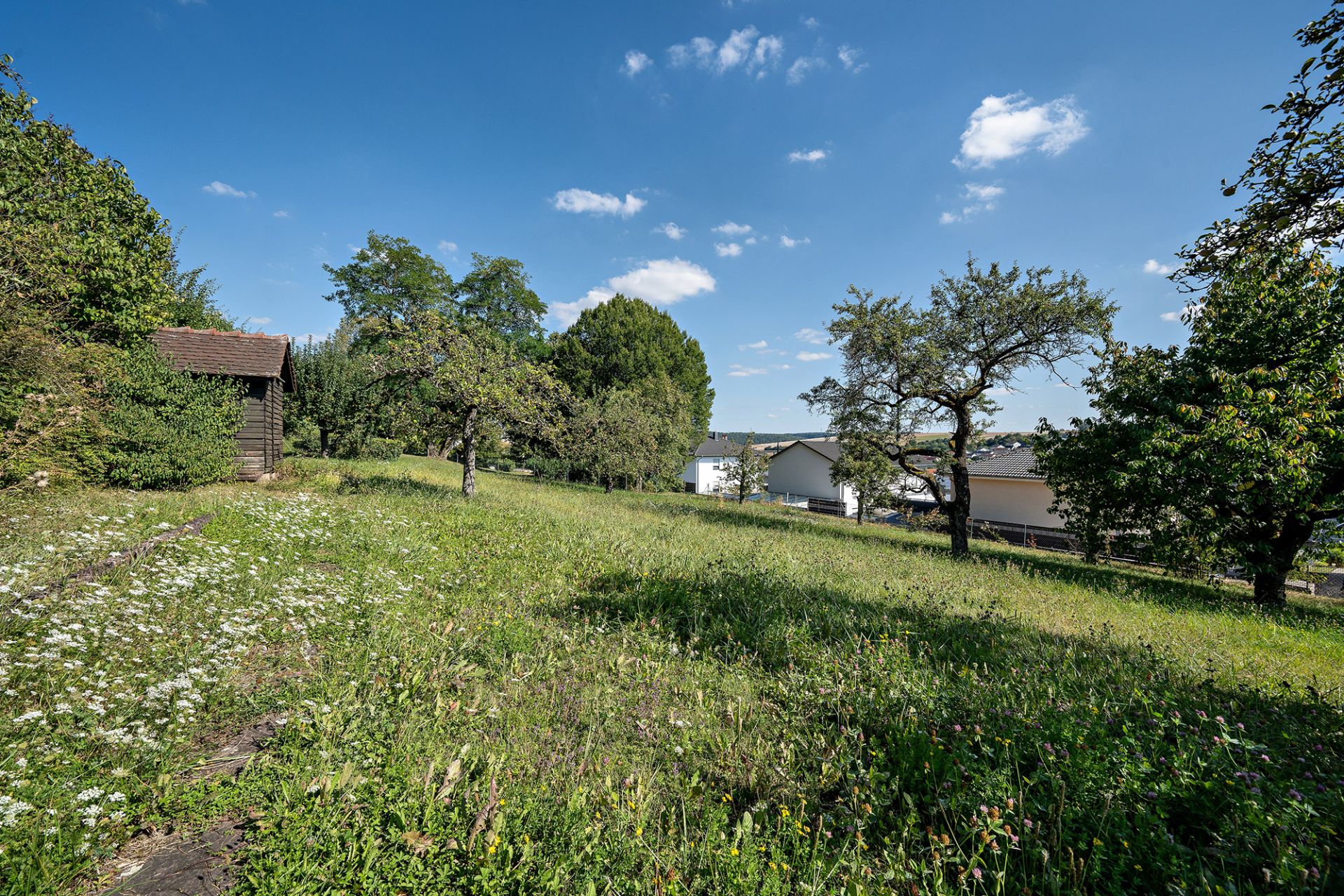 Grünes Grundstück mit Bäumen, kleiner Holzhütte links und blauer Himmel im Hintergrund.