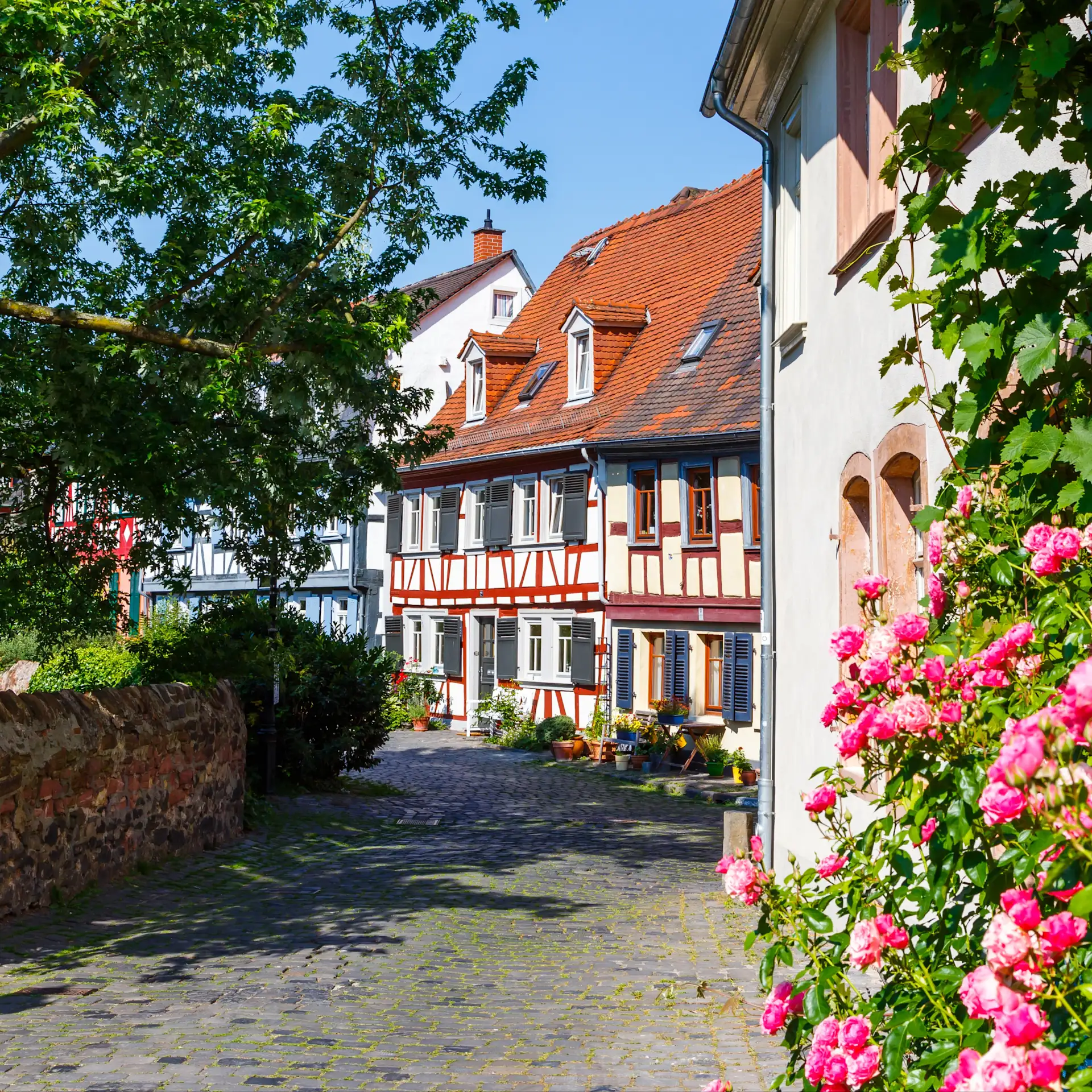 Fachwerkhaus mit roten Fensterläden an einer Pflasterstraße, Blumen im Vordergrund.