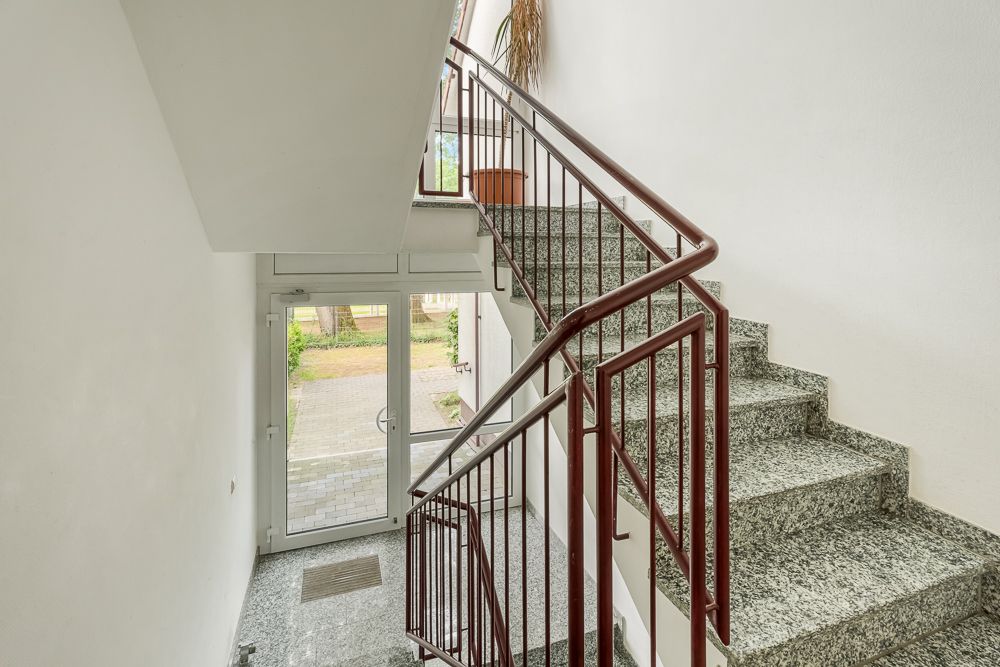 Treppe mit grauen Stufen und rotem Geländer, große Glastür und Pflanze am Treppenabsatz.